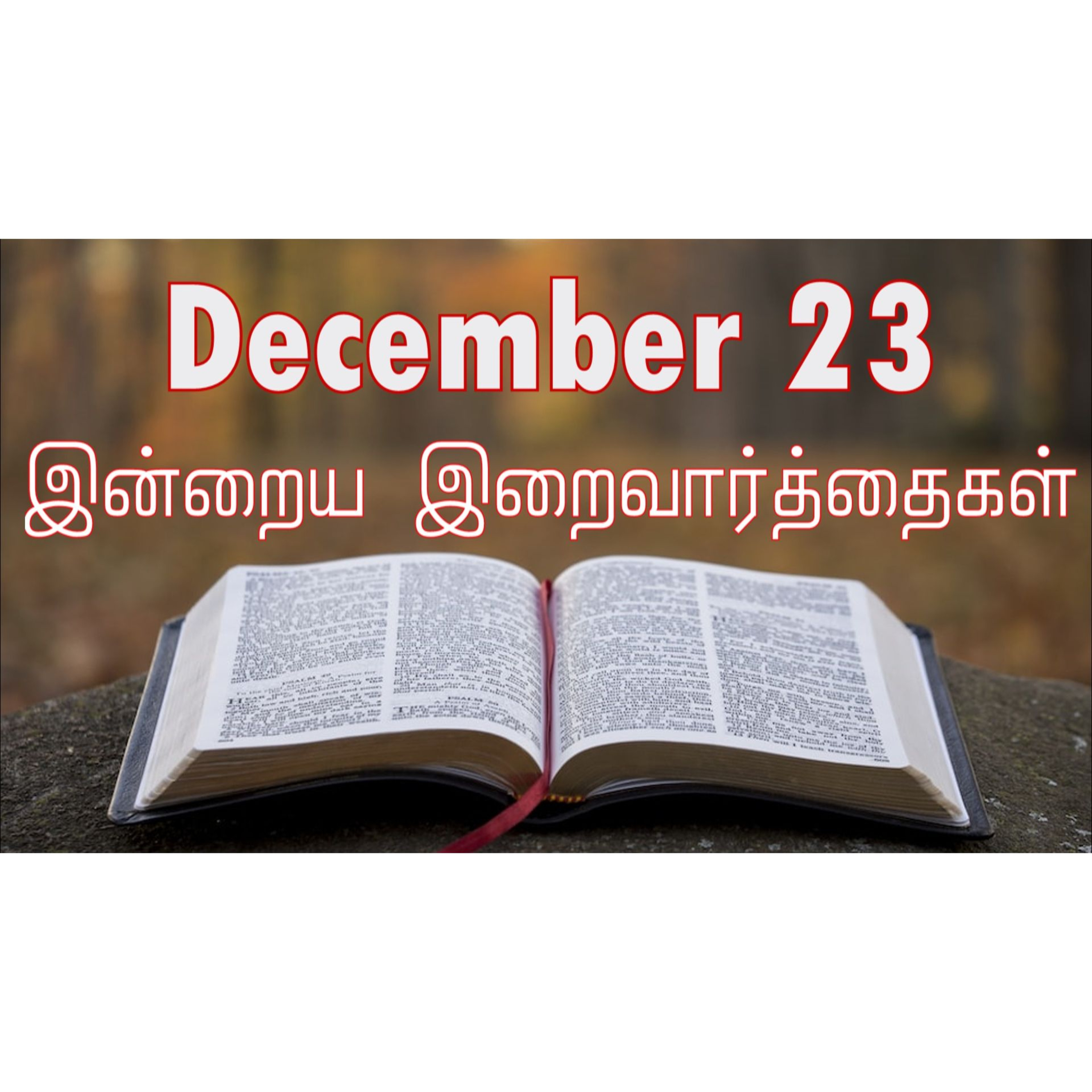 23 December 2025 Holy Mass Readings Tamil | Catholic | Daily Bible Reading Tamil | இன்றைய திருப்பலி வாசகங்கள் | Mass readings today | Today's Mass Readings Tamil | Daily bible verse in Tamil episode artwork
