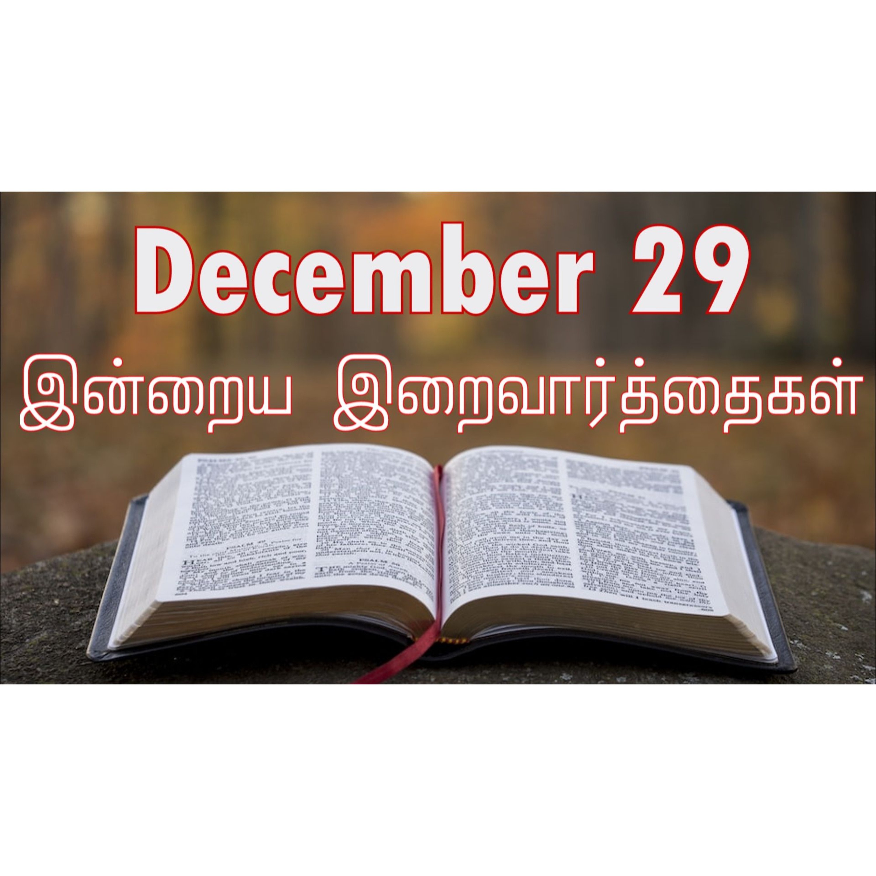 29 December 2025 Holy Mass Readings Tamil | Catholic | Daily Bible Reading Tamil | இன்றைய திருப்பலி வாசகங்கள் | Mass readings today | Today's Mass Readings Tamil | Daily bible verse in Tamil episode artwork