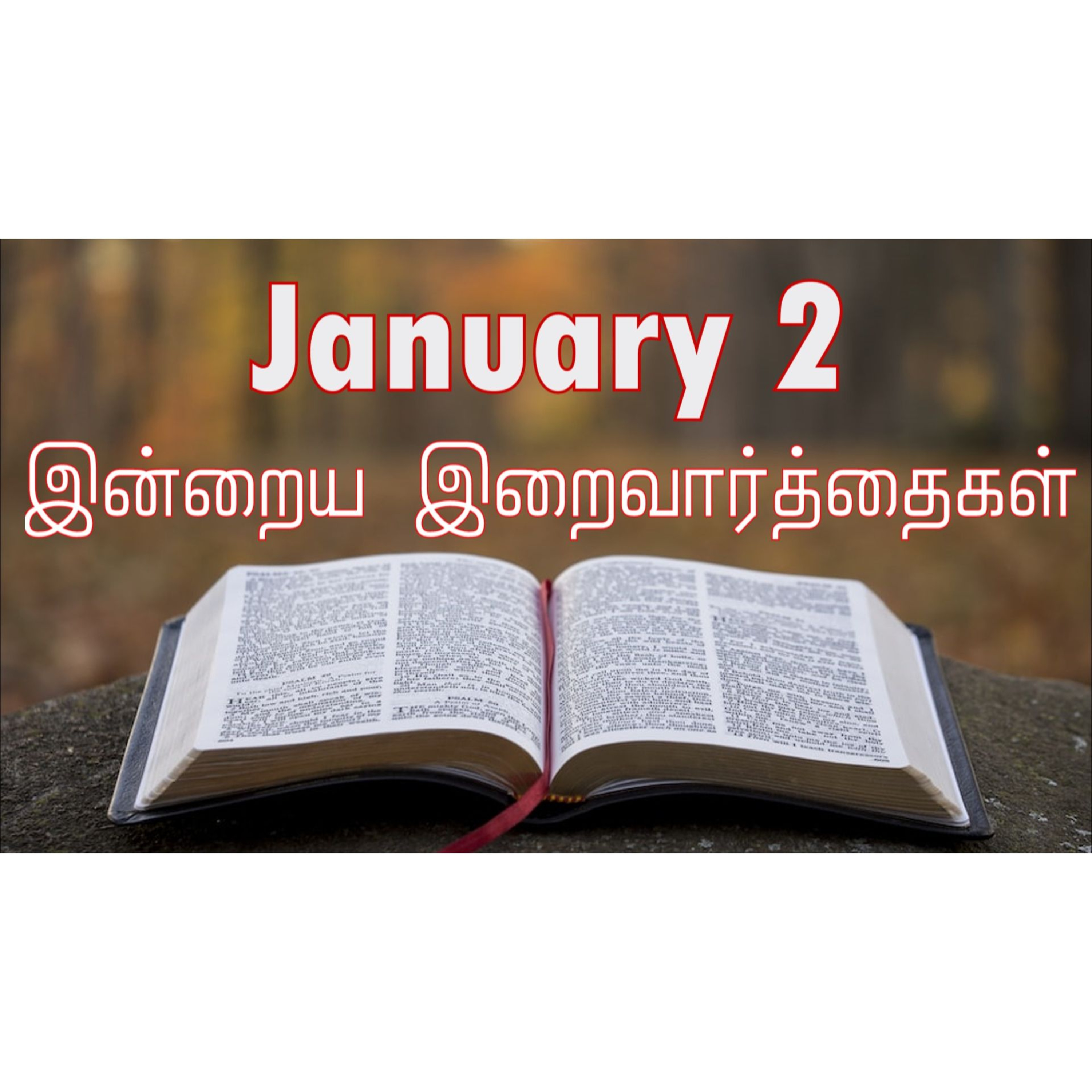 2 January 2026 Holy Mass Readings Tamil | Catholic | Daily Bible Reading Tamil | இன்றைய திருப்பலி வாசகங்கள் | Mass readings today | Today's Mass Readings Tamil | Daily bible verse in Tamil episode artwork