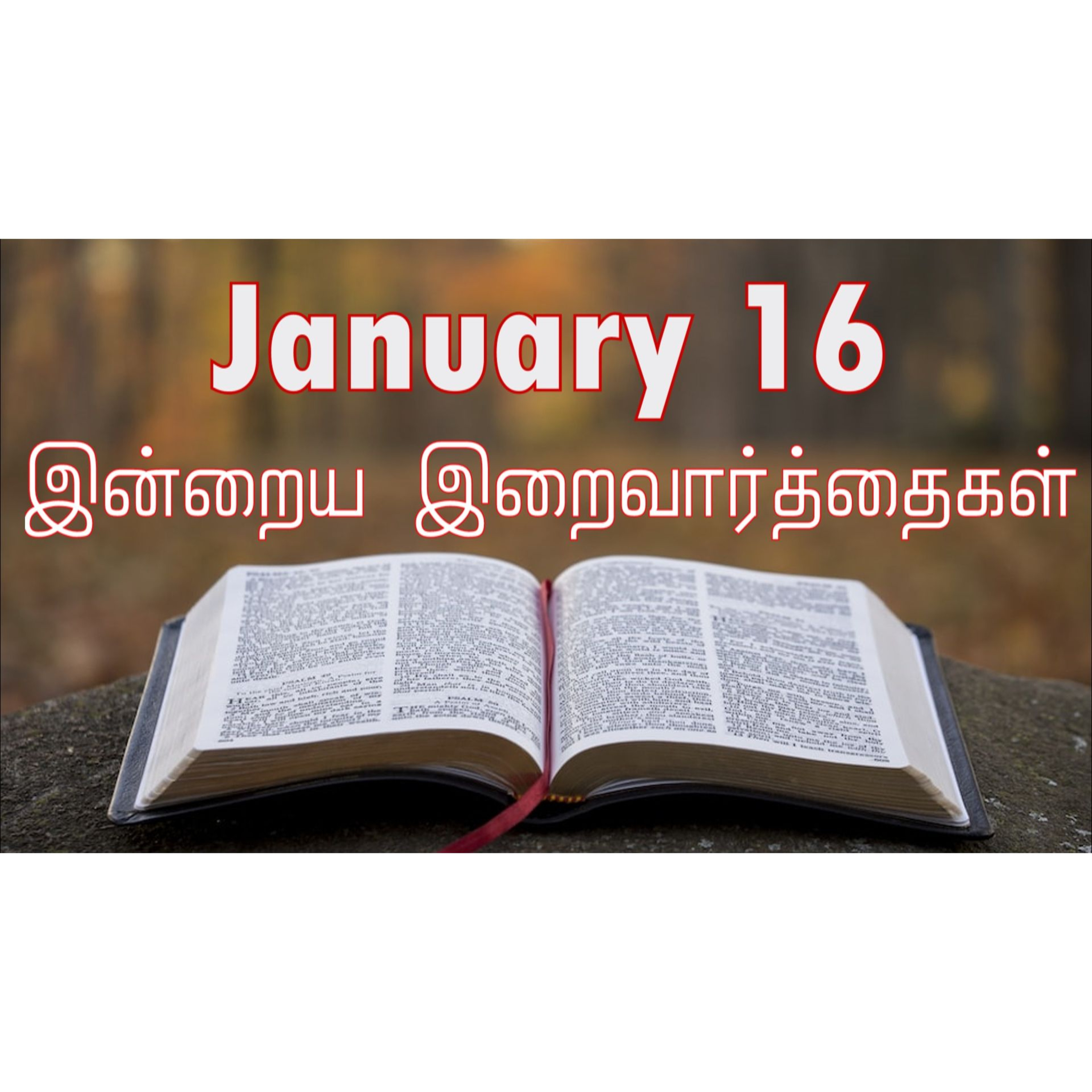 16 January 2026 Holy Mass Readings Tamil | Catholic | Daily Bible Reading Tamil | இன்றைய திருப்பலி வாசகங்கள் | Mass readings today | Today's Mass Readings Tamil | Daily bible verse in Tamil  episode artwork