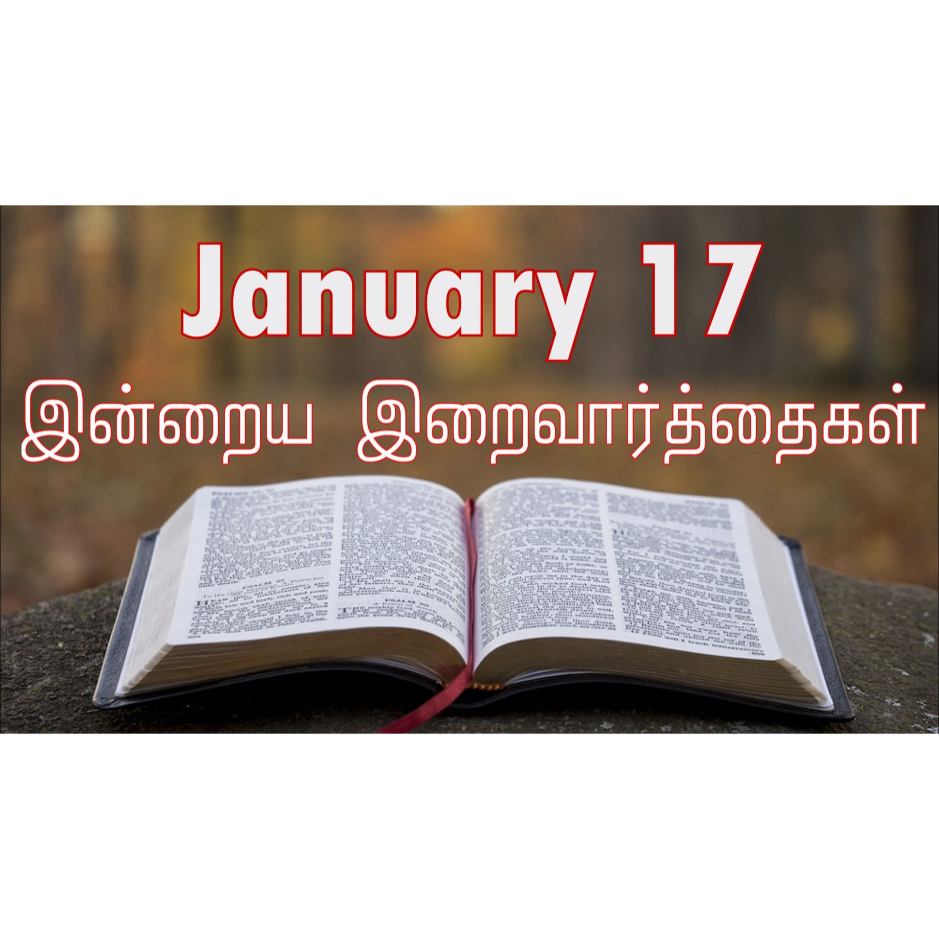 17 January 2026 Holy Mass Readings Tamil | Catholic | Daily Bible Reading Tamil | இன்றைய திருப்பலி வாசகங்கள் | Mass readings today | Today's Mass Readings Tamil | Daily bible verse in Tamil episode artwork