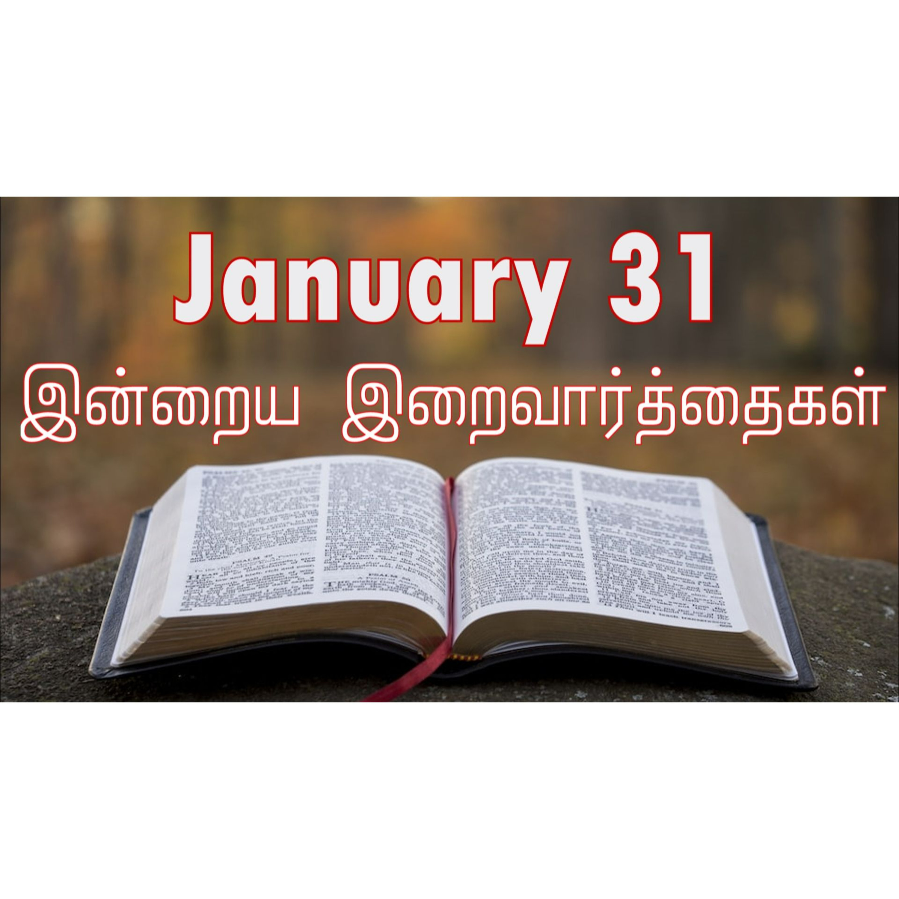31 January 2026 Holy Mass Readings Tamil | Catholic | Daily Bible ...