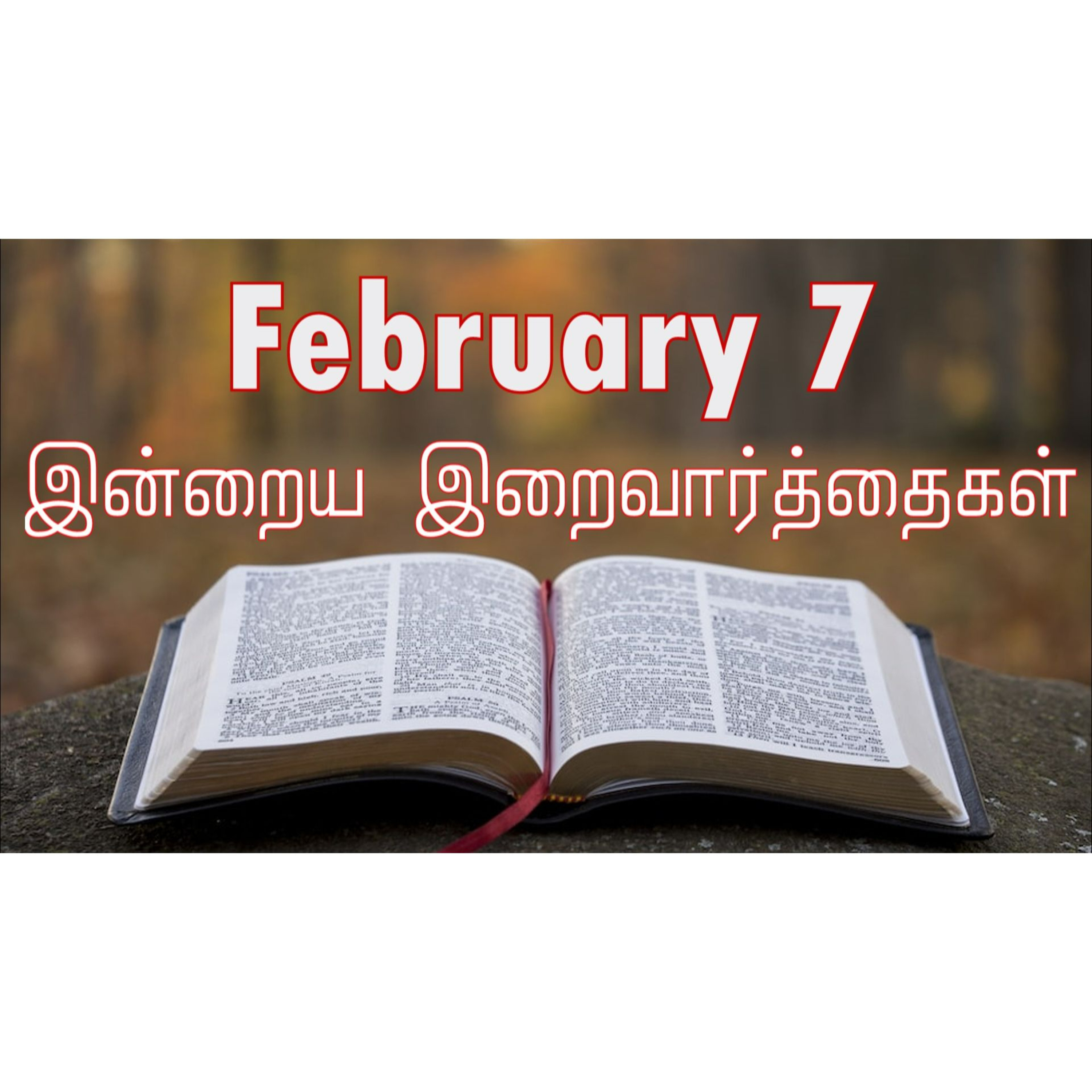 7 February 2026 Holy Mass Readings Tamil | Catholic | Daily Bible Reading Tamil | இன்றைய திருப்பலி வாசகங்கள் | Mass readings today | Today's Mass Readings Tamil | Daily bible verse in Tamil episode artwork