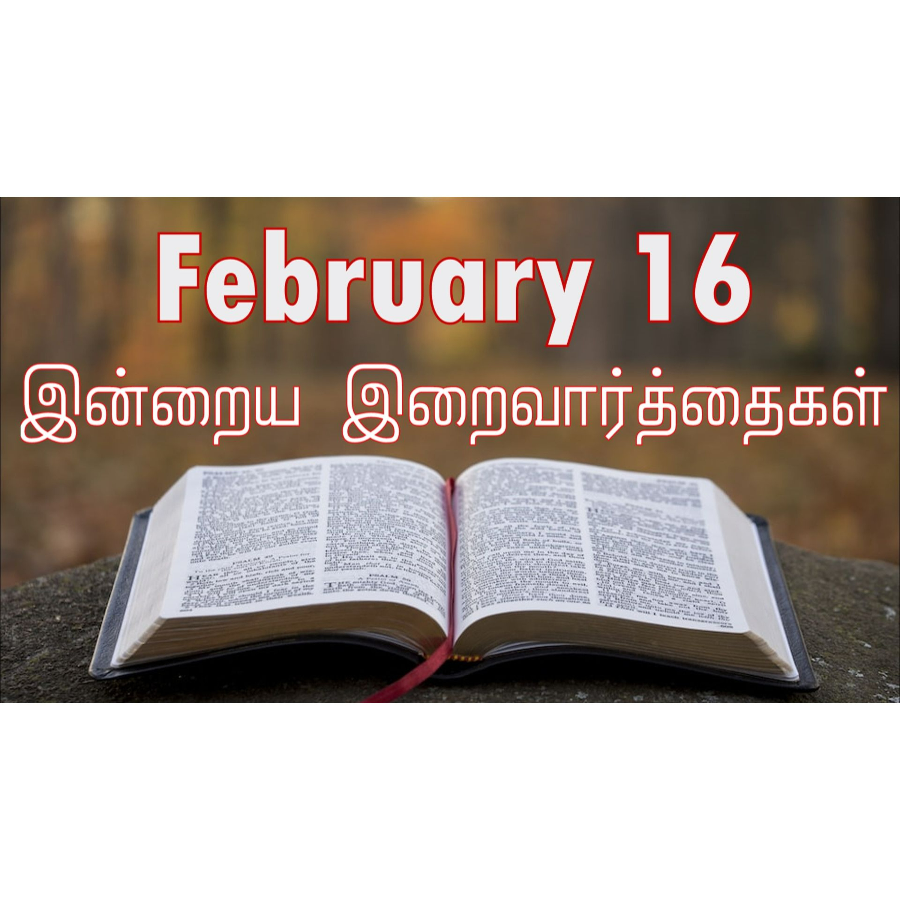 16 February 2026 Holy Mass Readings Tamil | Catholic | Daily Bible Reading Tamil | இன்றைய திருப்பலி வாசகங்கள் | Mass readings today | Today's Mass Readings Tamil | Daily bible verse in Tamil episode artwork