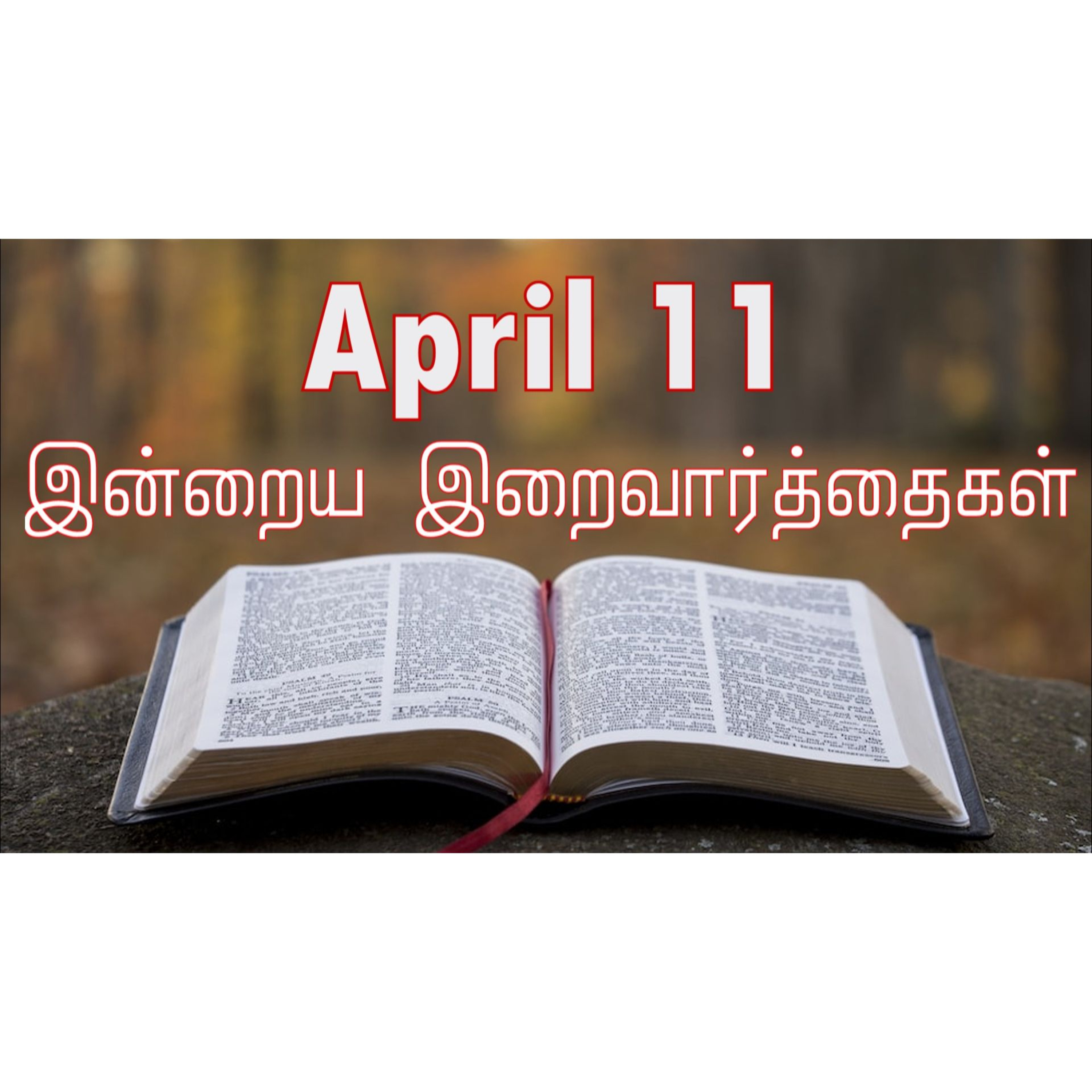 11 April 2026 Holy Mass Readings Tamil | Catholic | Daily Bible Reading Tamil | இன்றைய திருப்பலி வாசகங்கள் | Mass readings today | Today's Mass Readings Tamil | Daily bible verse in Tamil  episode artwork