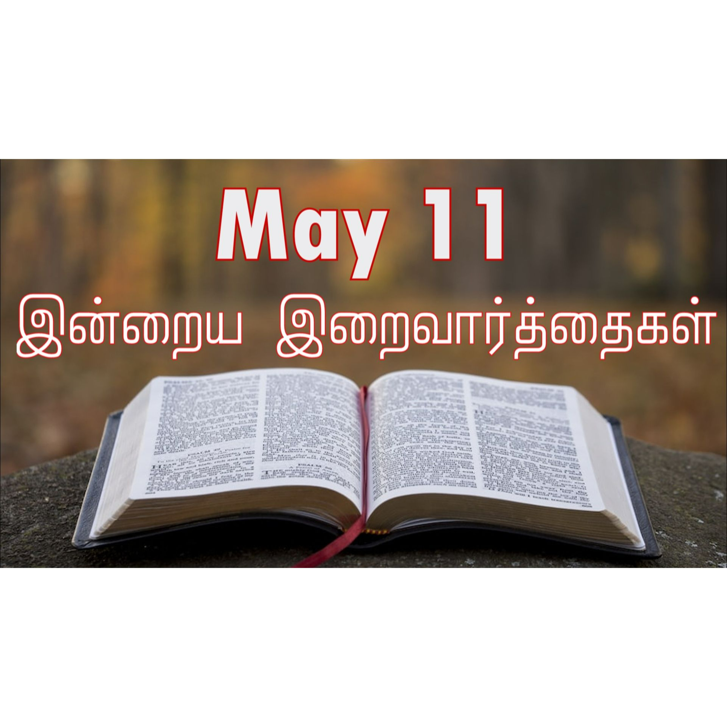 11 May 2026 Holy Mass Readings Tamil | Catholic | Daily Bible Reading Tamil | இன்றைய திருப்பலி வாசகங்கள் | Mass readings today | Today's Mass Readings Tamil | Daily bible verse in Tamil