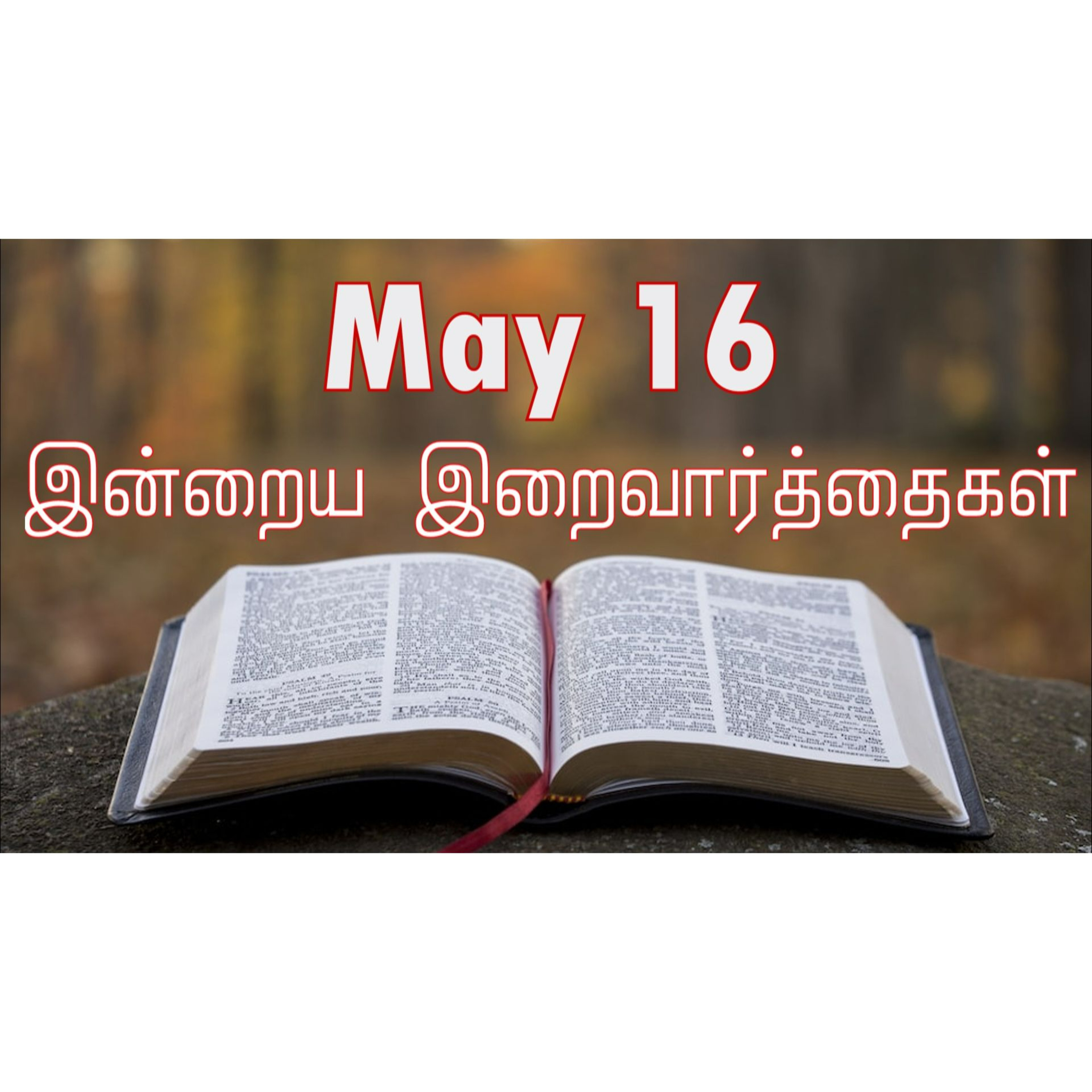 16 May 2026 Holy Mass Readings Tamil | Catholic | Daily Bible Reading Tamil | இன்றைய திருப்பலி வாசகங்கள் | Mass readings today | Today's Mass Readings Tamil | Daily bible verse in Tamil episode artwork