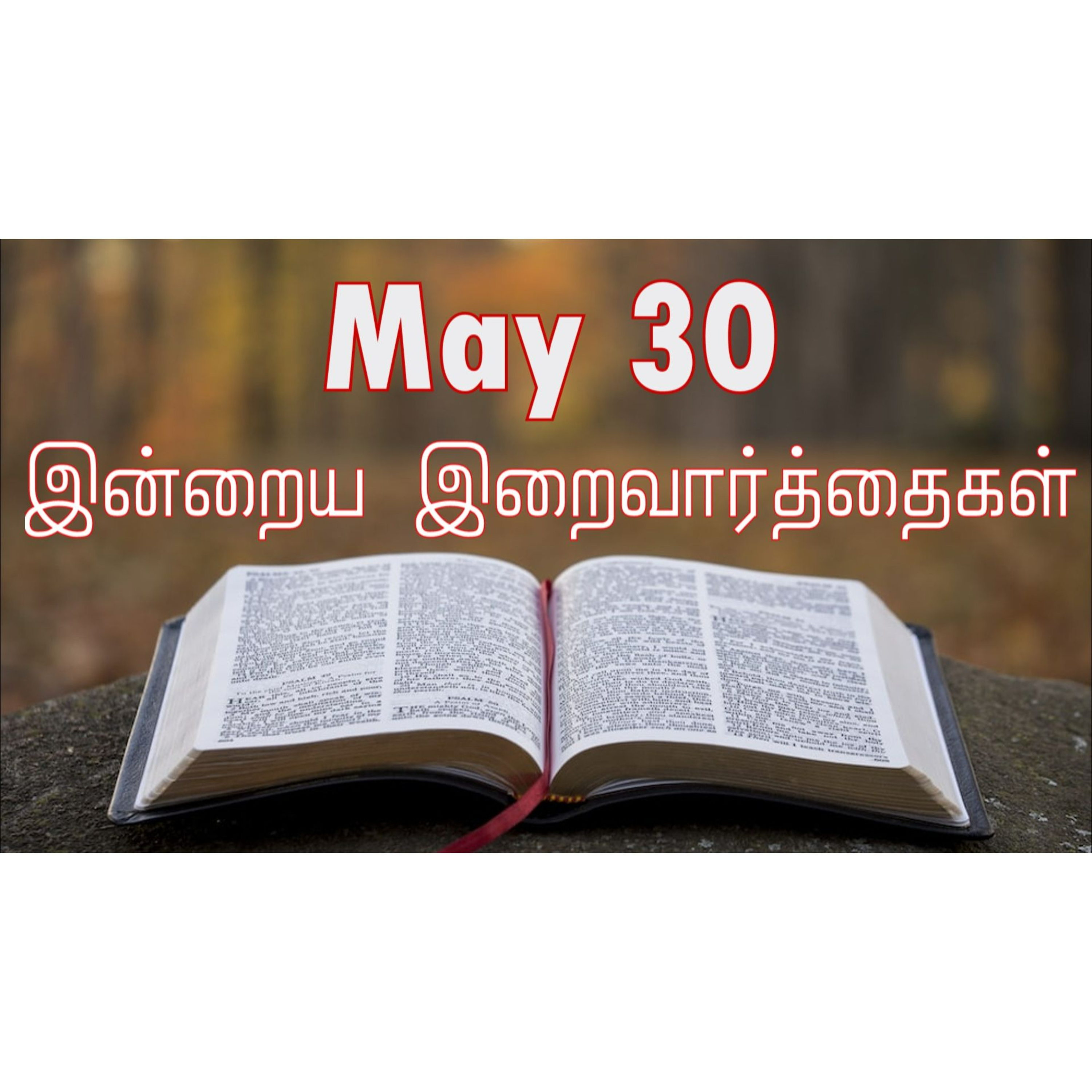 30 May 2026 Holy Mass Readings Tamil | Catholic | Daily Bible Reading Tamil | இன்றைய திருப்பலி வாசகங்கள் | Mass readings today | Today's Mass Readings Tamil | Daily bible verse in Tamil episode artwork