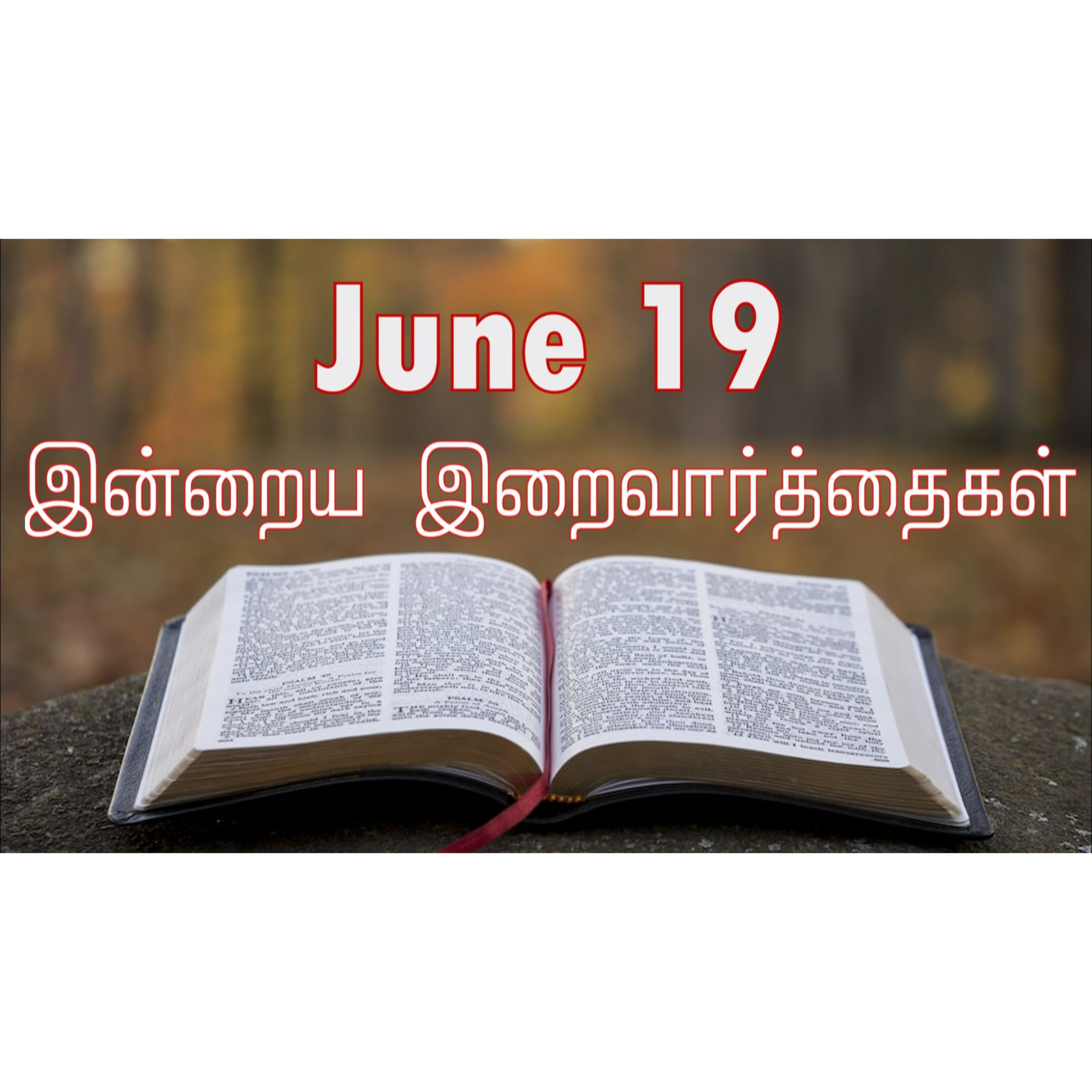 19 June 2026 Holy Mass Readings Tamil | Catholic | Daily Bible Reading Tamil | இன்றைய திருப்பலி வாசகங்கள் | Mass readings today | Today's Mass Readings Tamil | Daily bible verse in Tamil  episode artwork