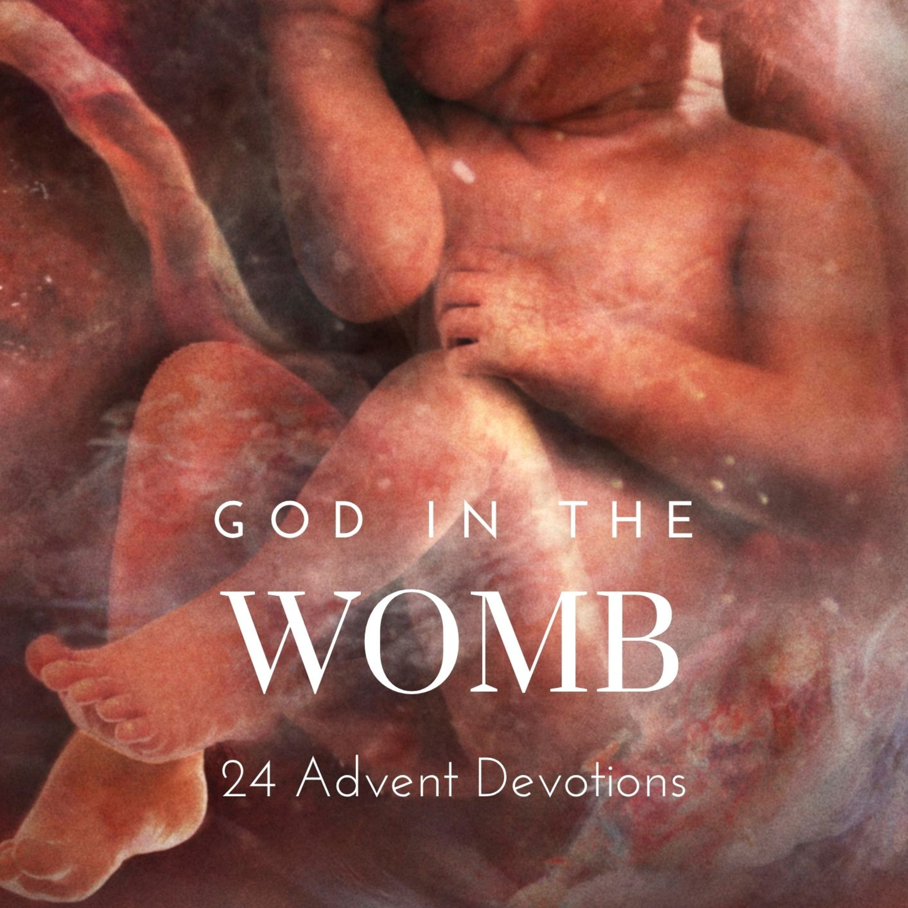 God in the Womb: Day 2 - Adam and Eve episode artwork