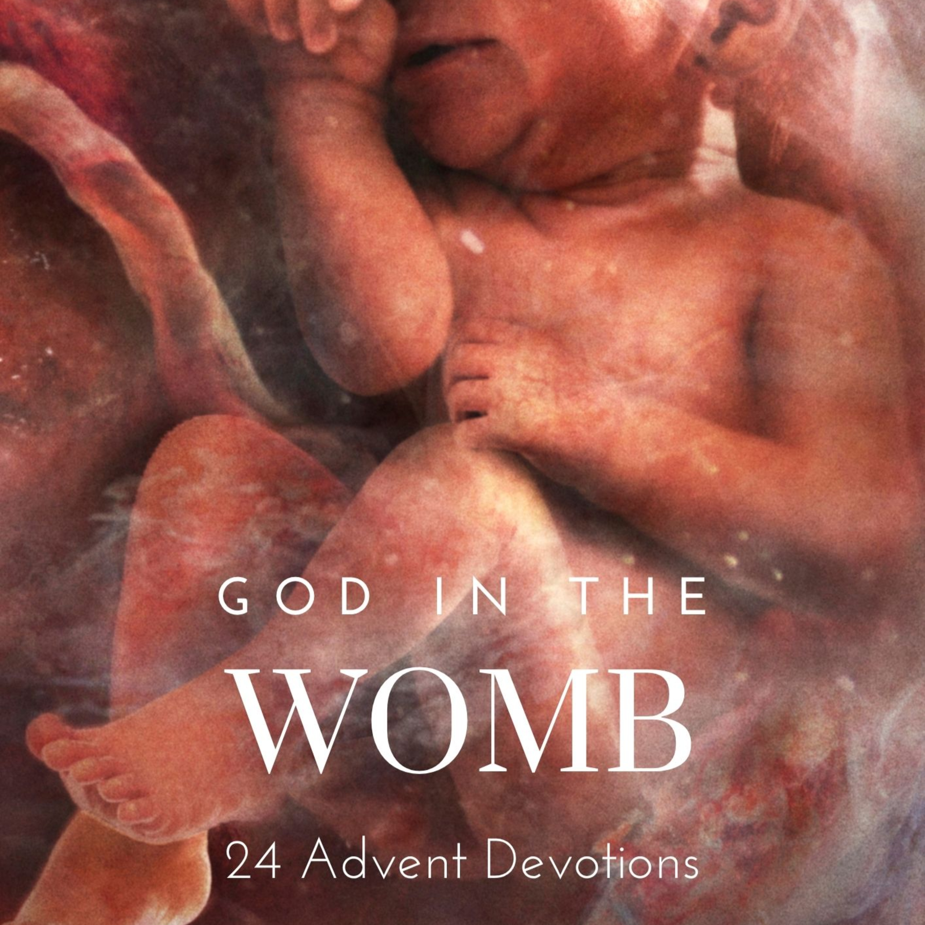 God in the Womb: Day 4 - Little John episode artwork