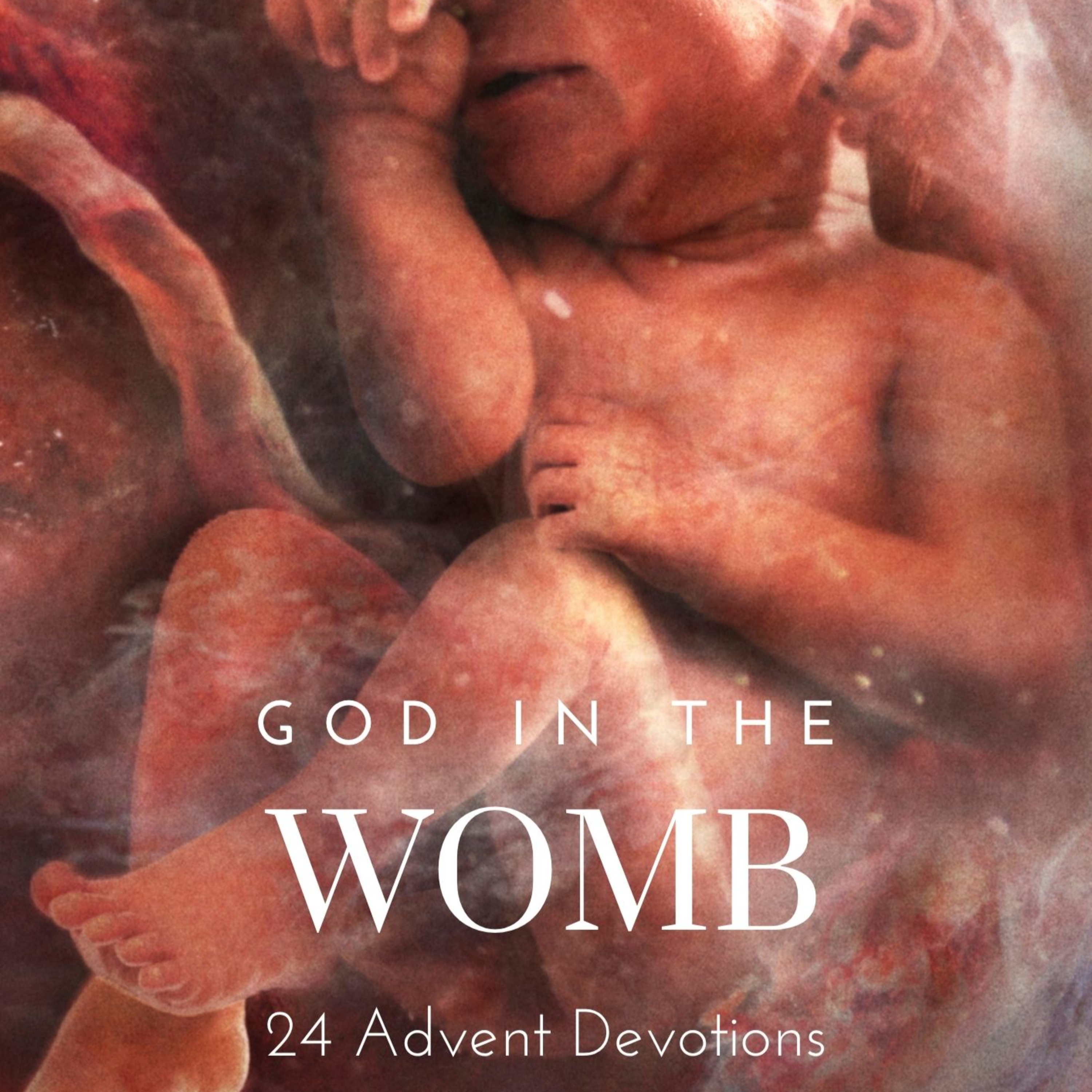 God in the Womb: Day 13 - Mary and Elizabeth episode artwork
