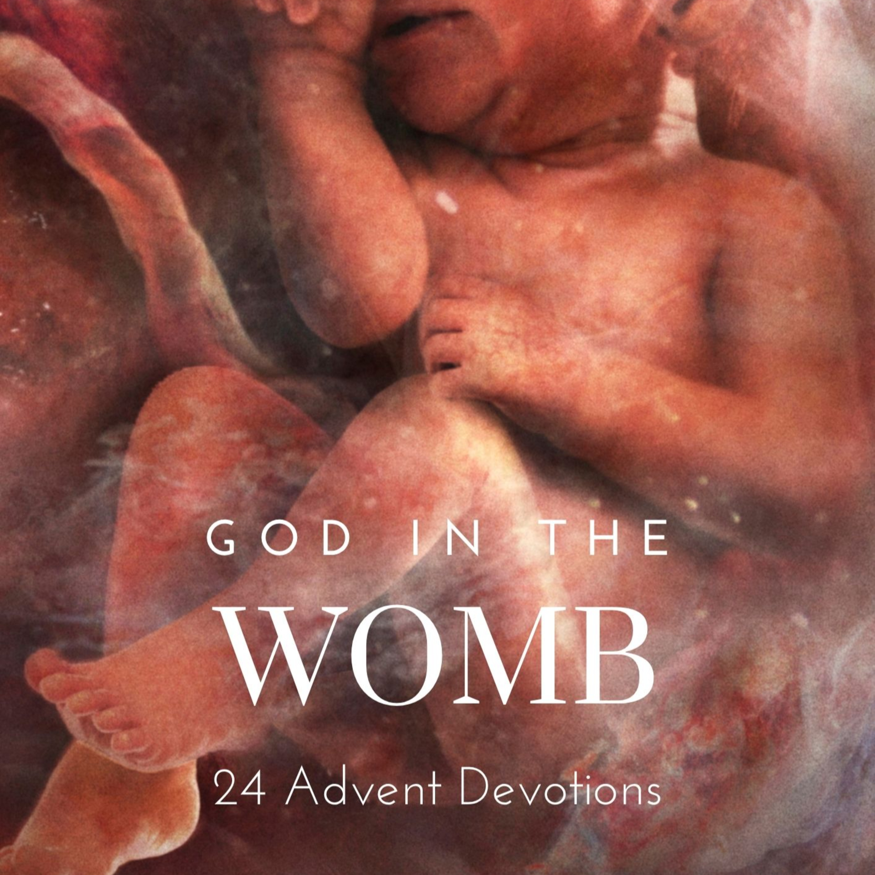 God in the Womb: Day 15 - Mary Magnifies episode artwork