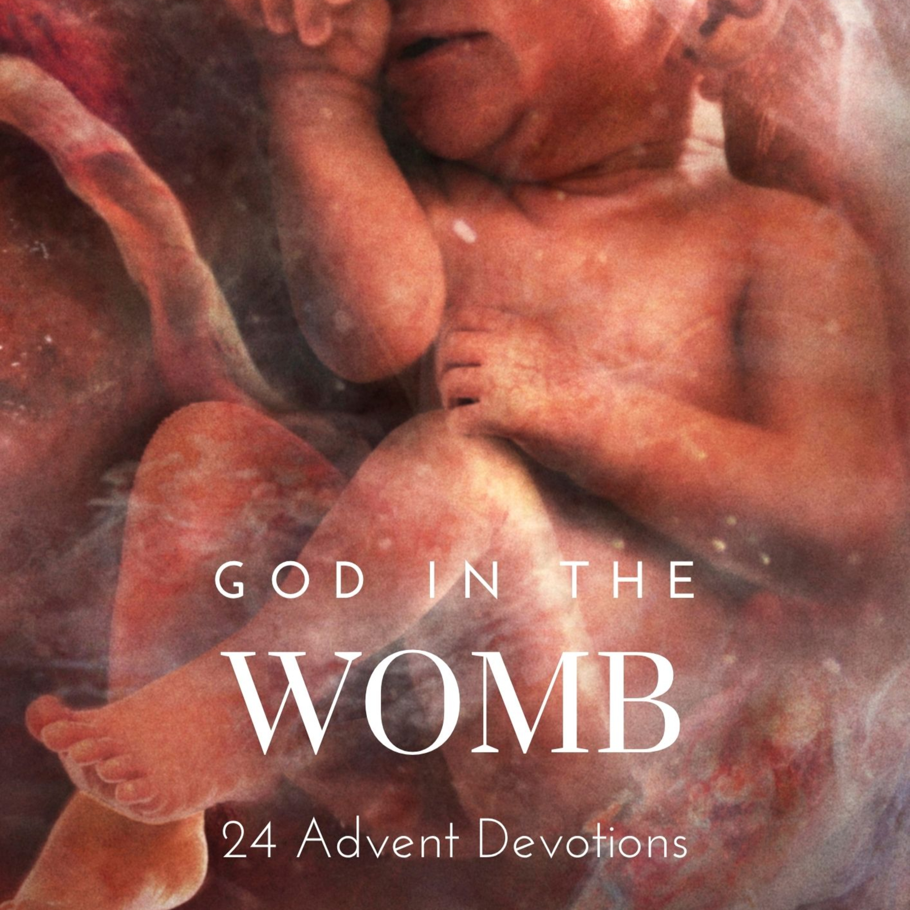God in the Womb - Day 16: Unmuted episode artwork