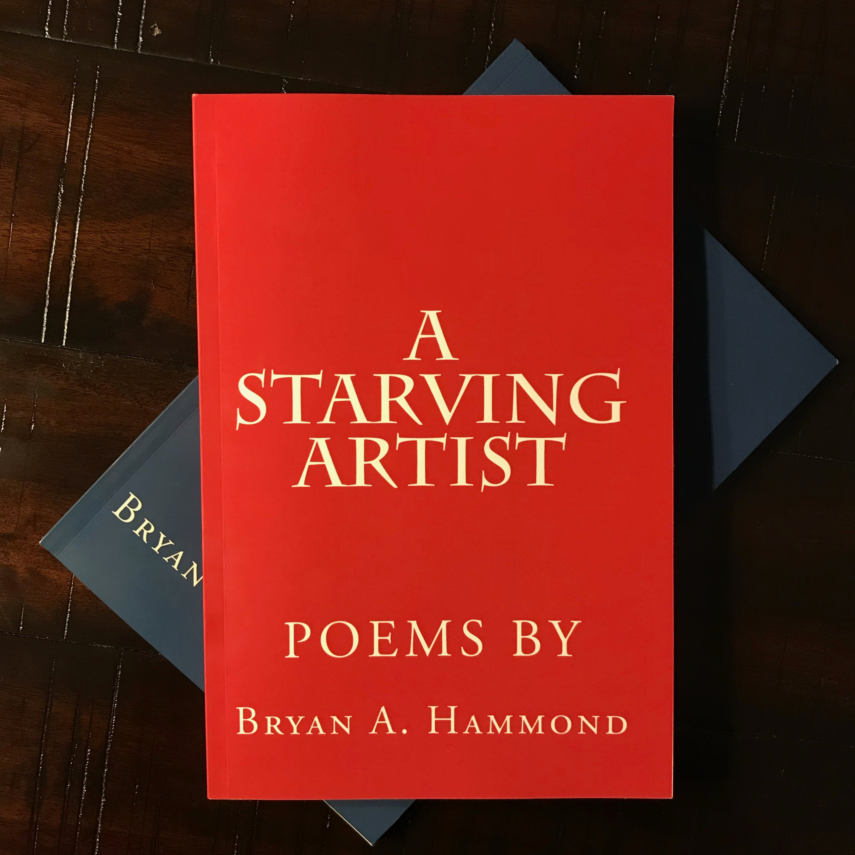 A Starving Artist Audio Book thumbnail