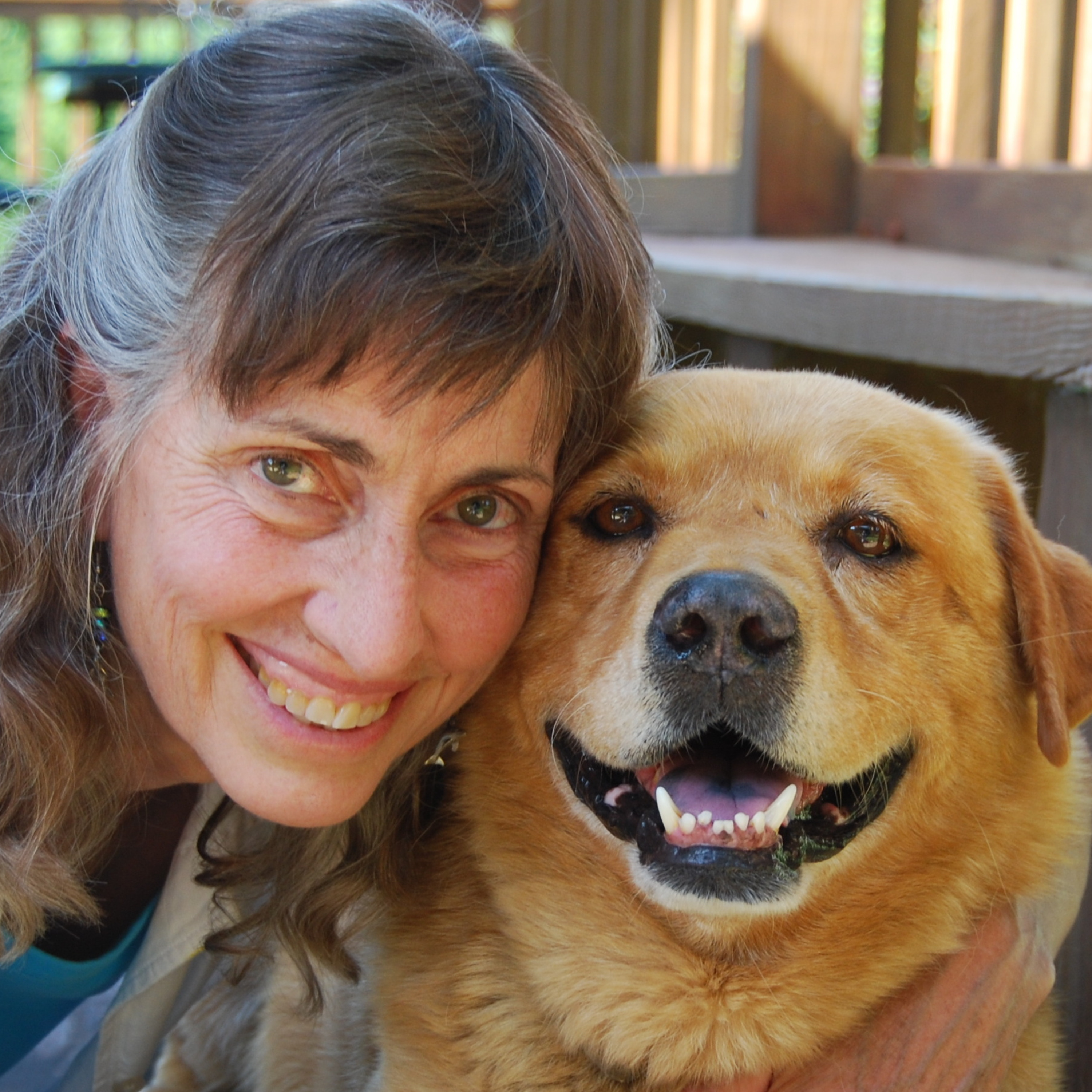 VP#45: A "Pie in the Sky" Activist Who Has Few Illusions about Life in the Real World! Author, Speaker, and Animal Advocate Judy Carman on Food, Faith, Freedom, and Love episode artwork
