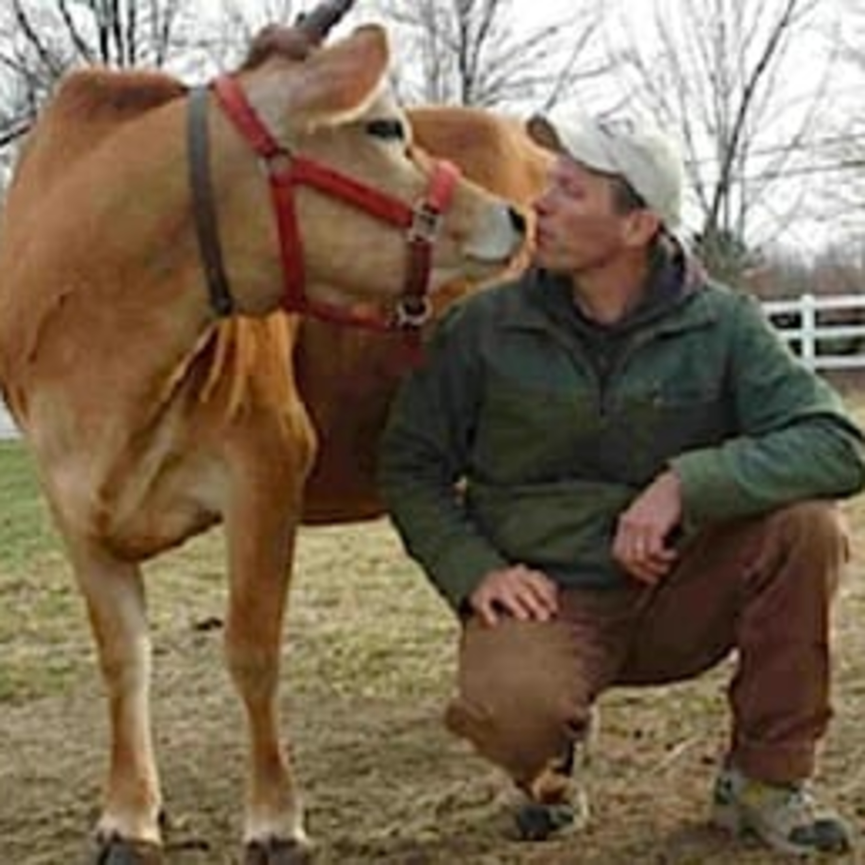 VP#57: Triglycerides Down, Compassion Switch On, Peace Inside and Out with Ex-Cattle Farmer Harold Brown episode artwork