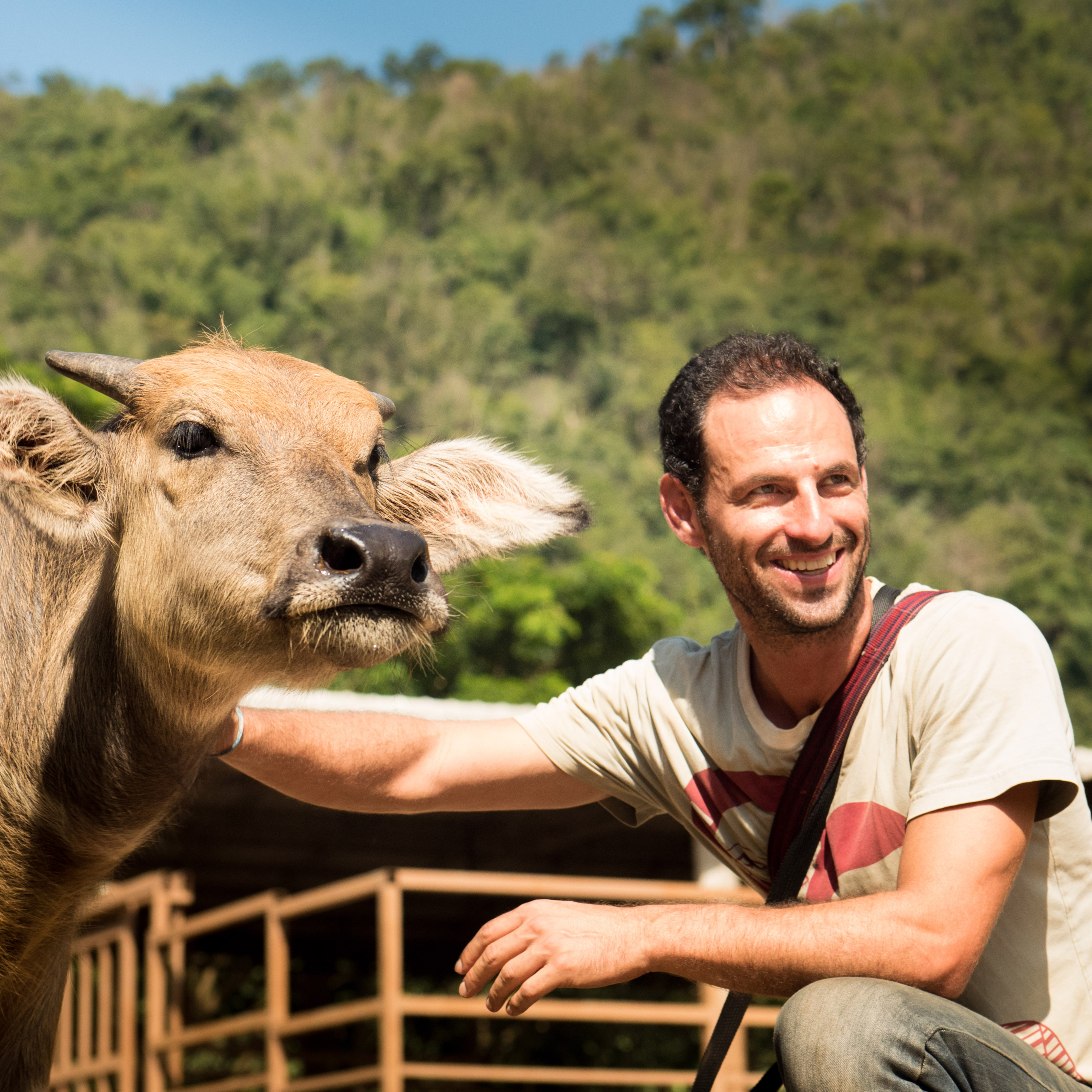 VP#73: The Weight of Empathy with Vegan World-Wanderer & Author Lucas Spiegel: The Lifelong Vegan Challenge of Staying Open-Hearted in World Rife with Animal Suffering episode artwork