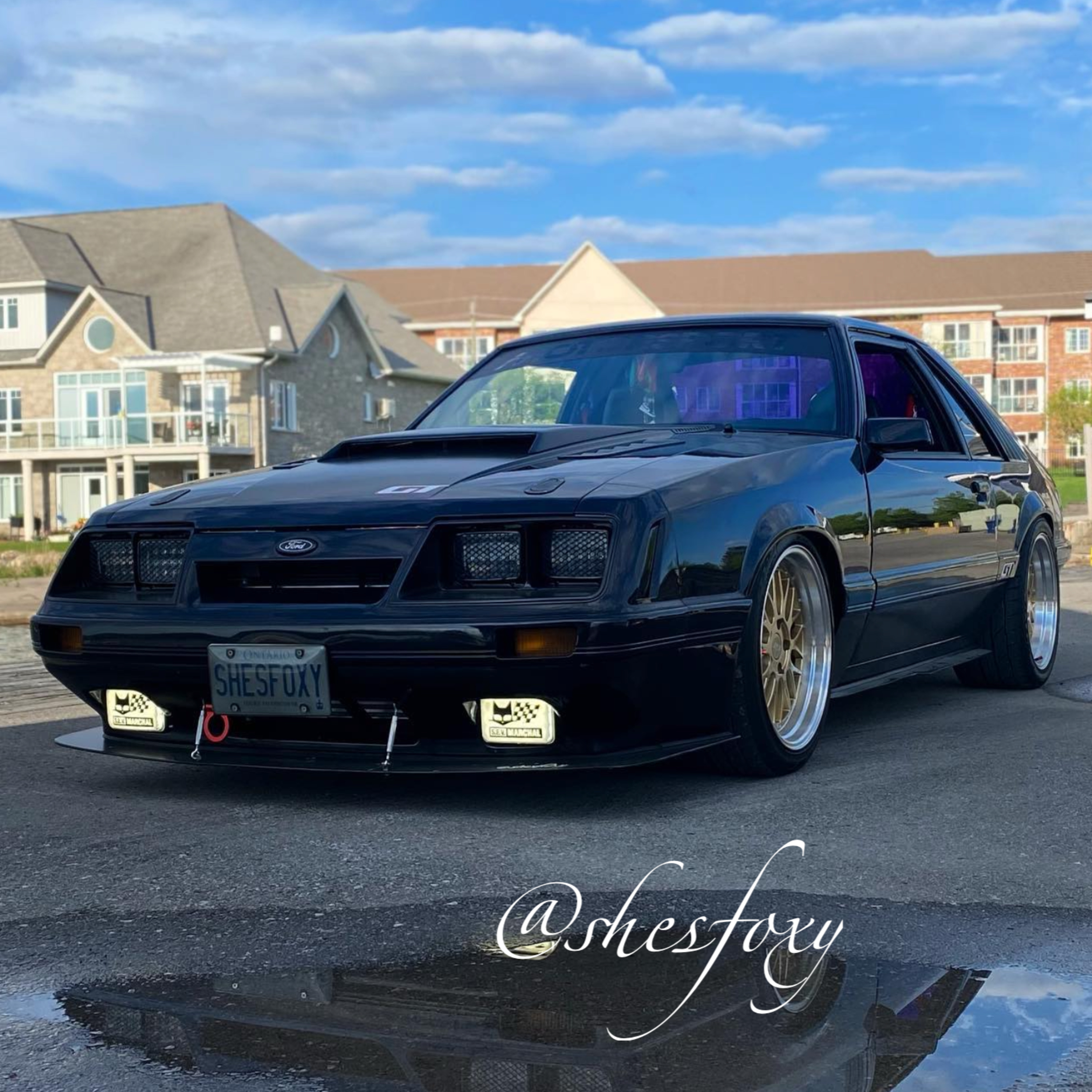 "Bro, do you even drive your car in the rain!?" SHESF0XY and his Escort GT's, Contour SVT's 4 Eyed GT's & More! episode artwork