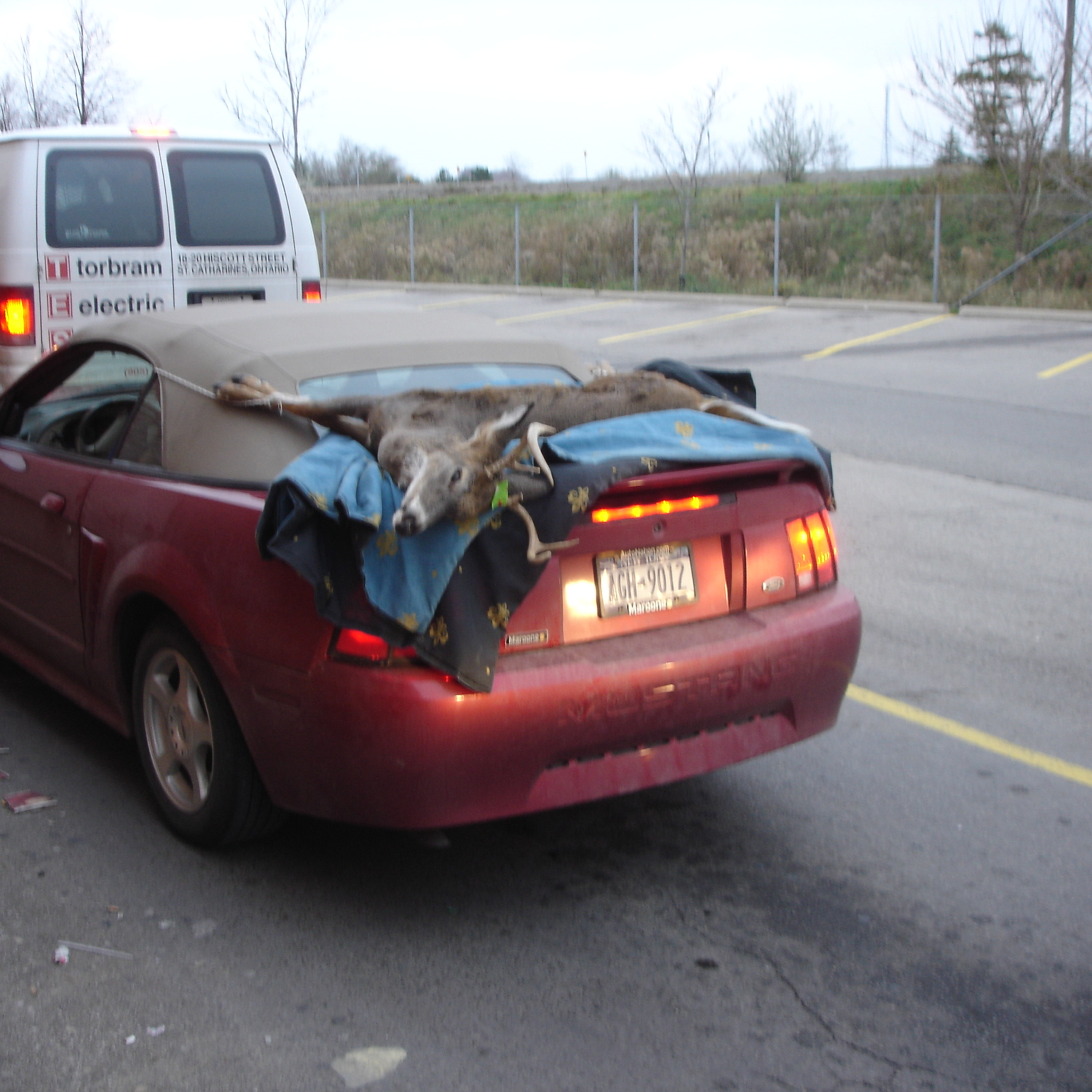 Rollin in my 5.0 - Foxbody Talk with KASL Customs and The Infamous Project