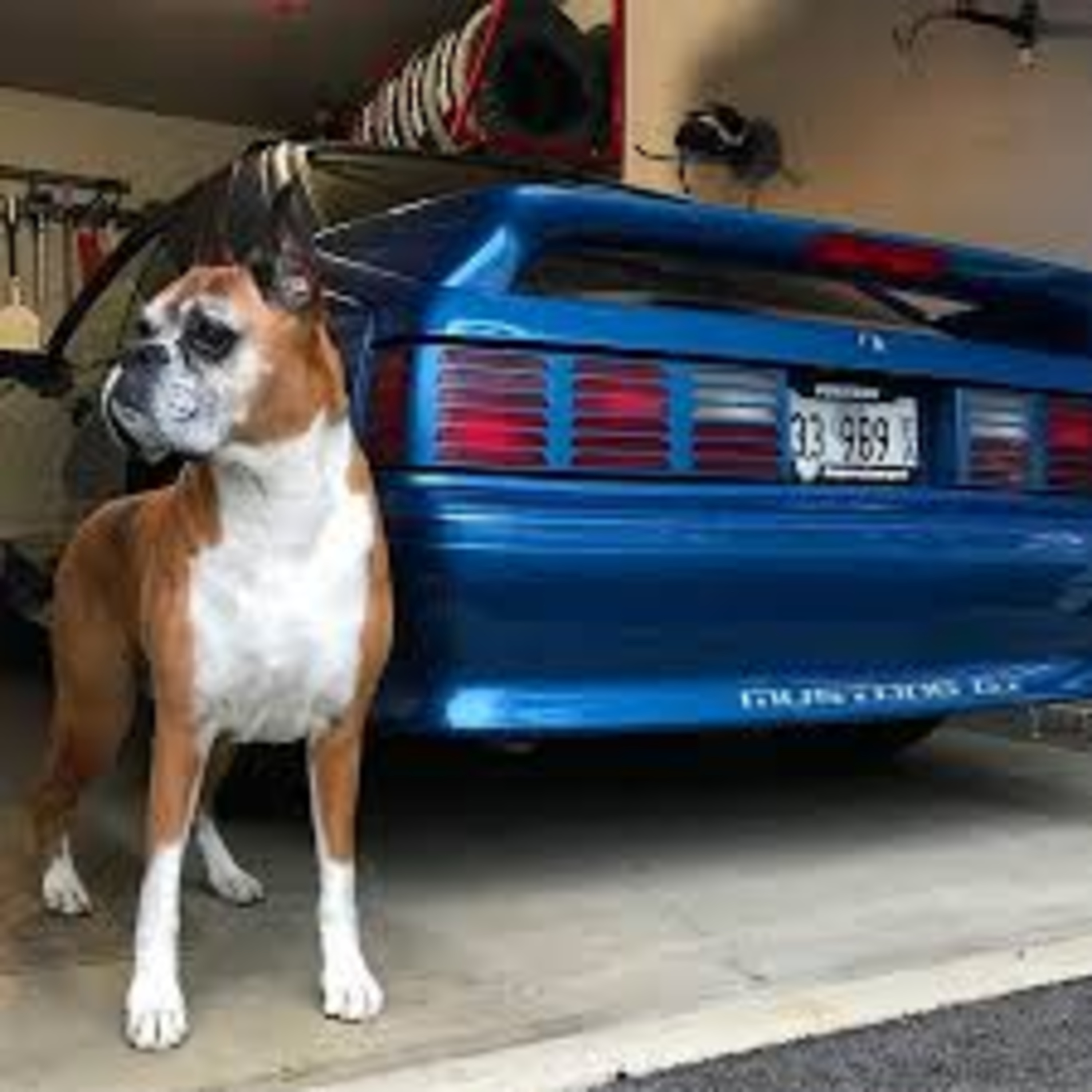 The Cookie Monster Foxbody Project w/ Brother Tom episode artwork