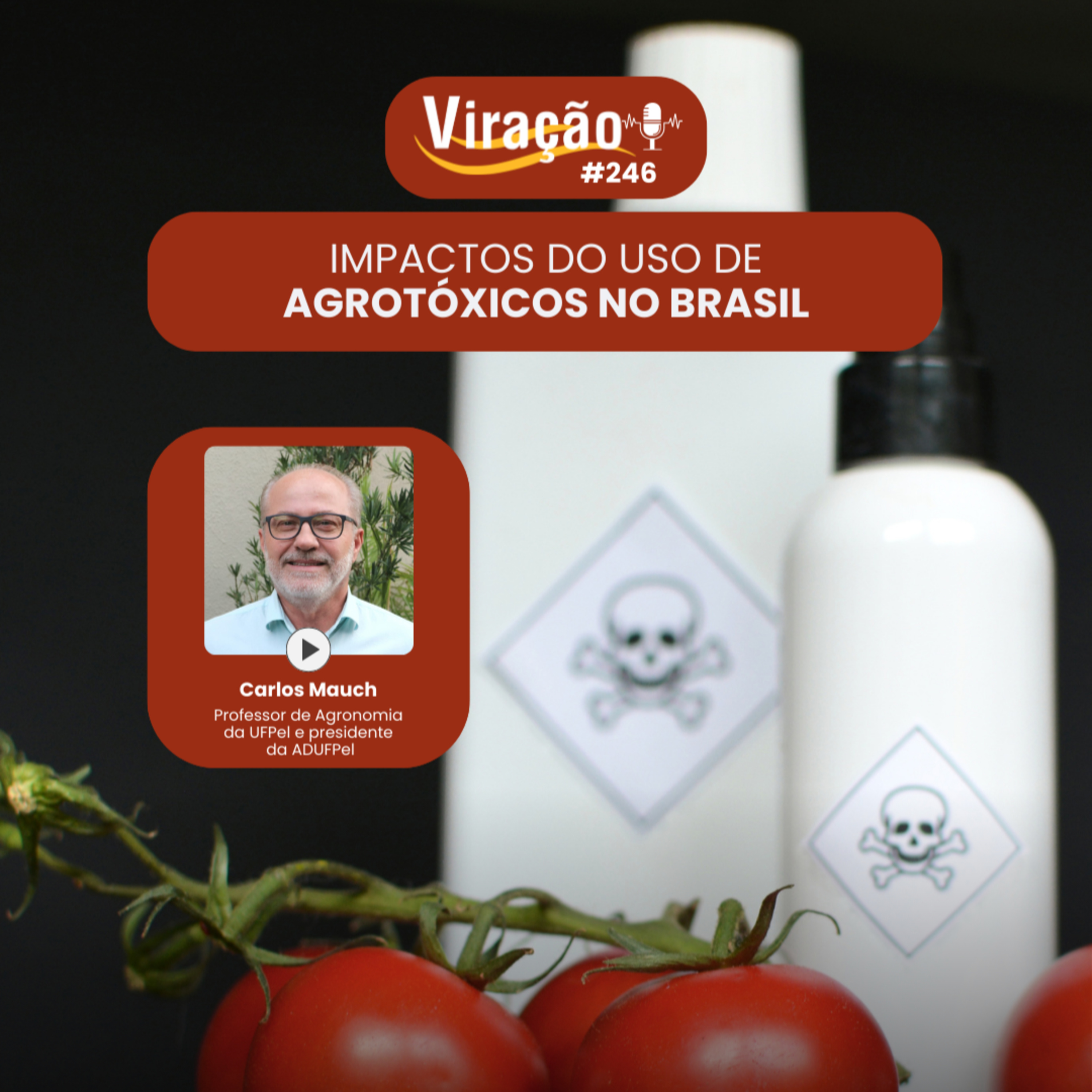 Viração - ADUFPel