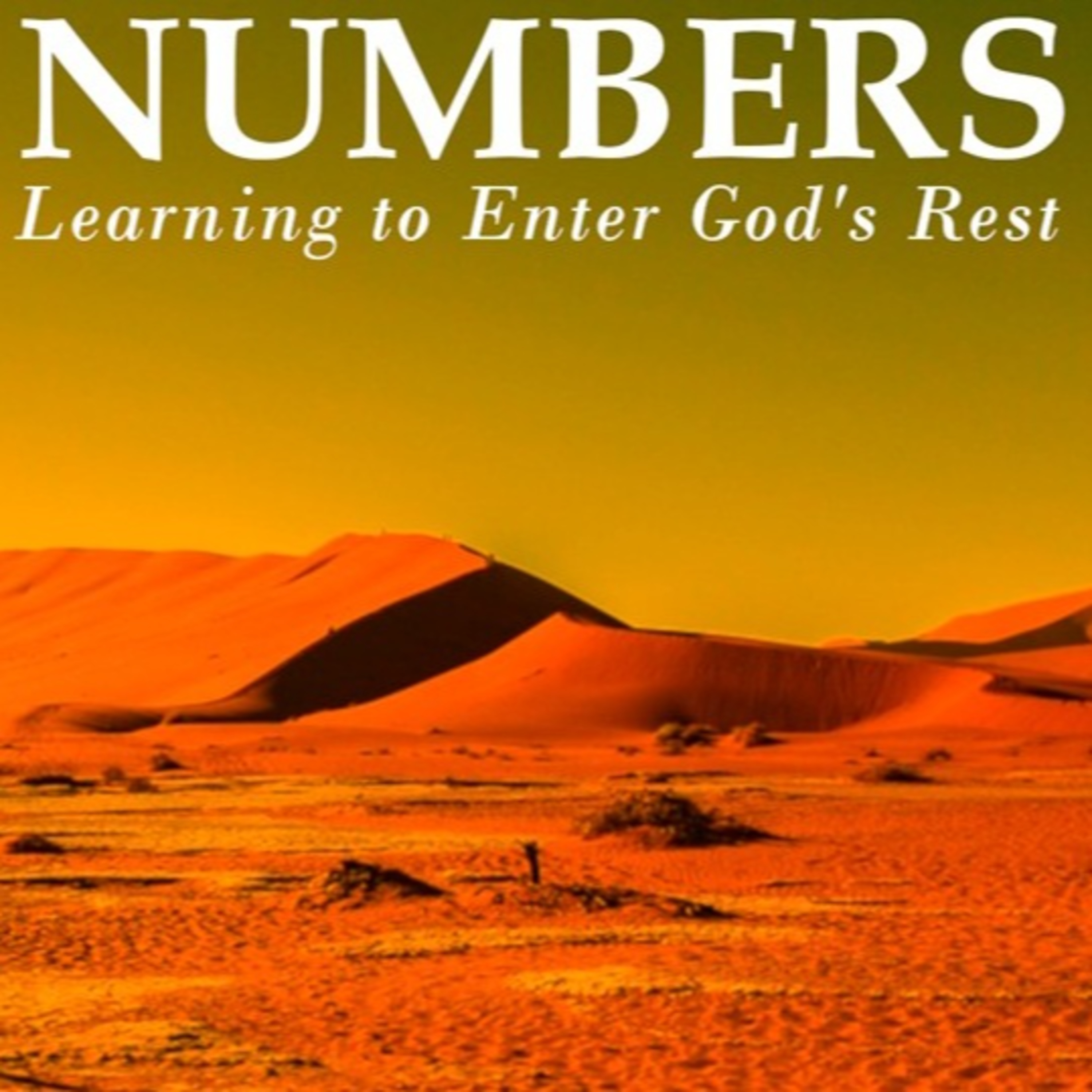 Numbers: Part 7 - The Lord Bless You episode artwork