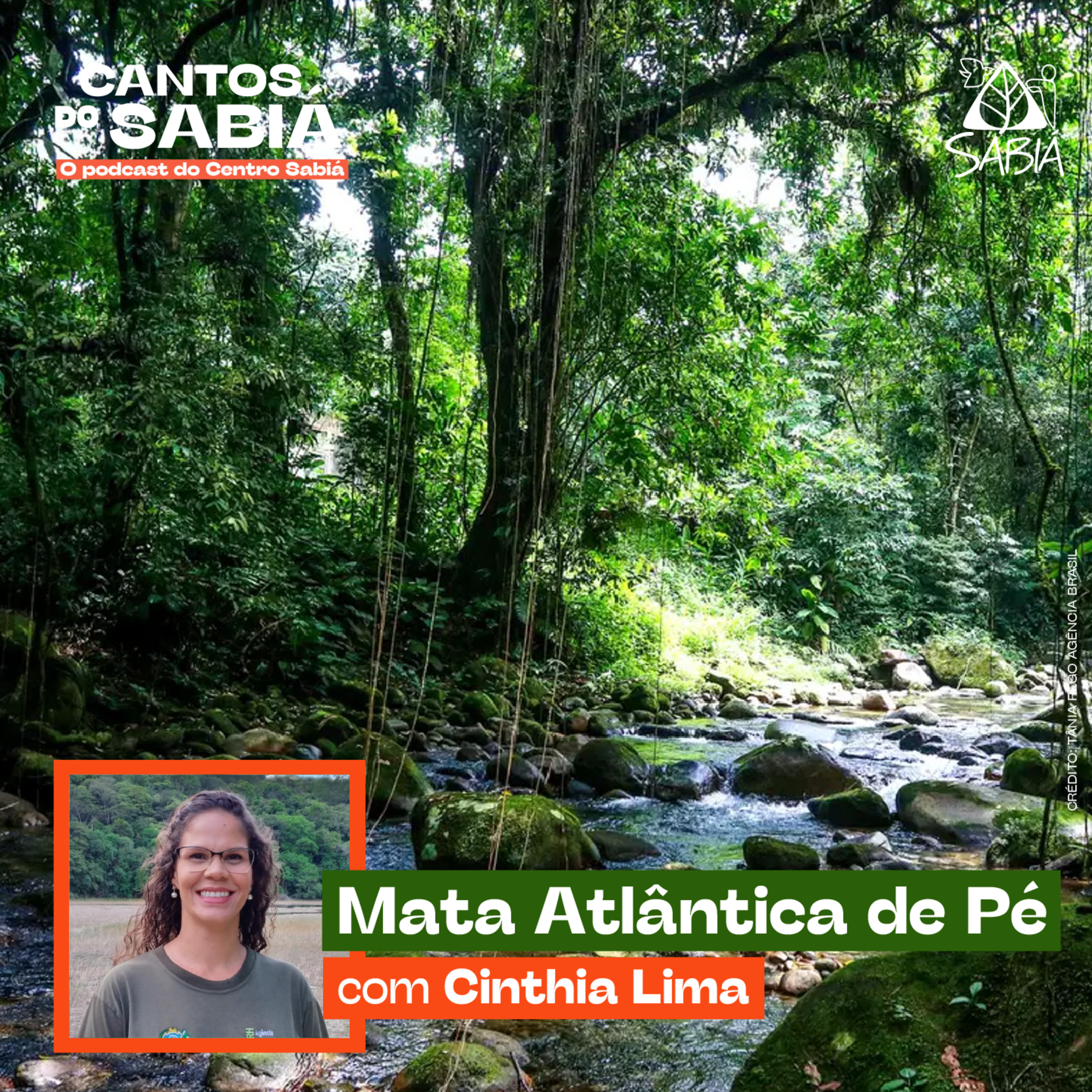 Centro Sabiá