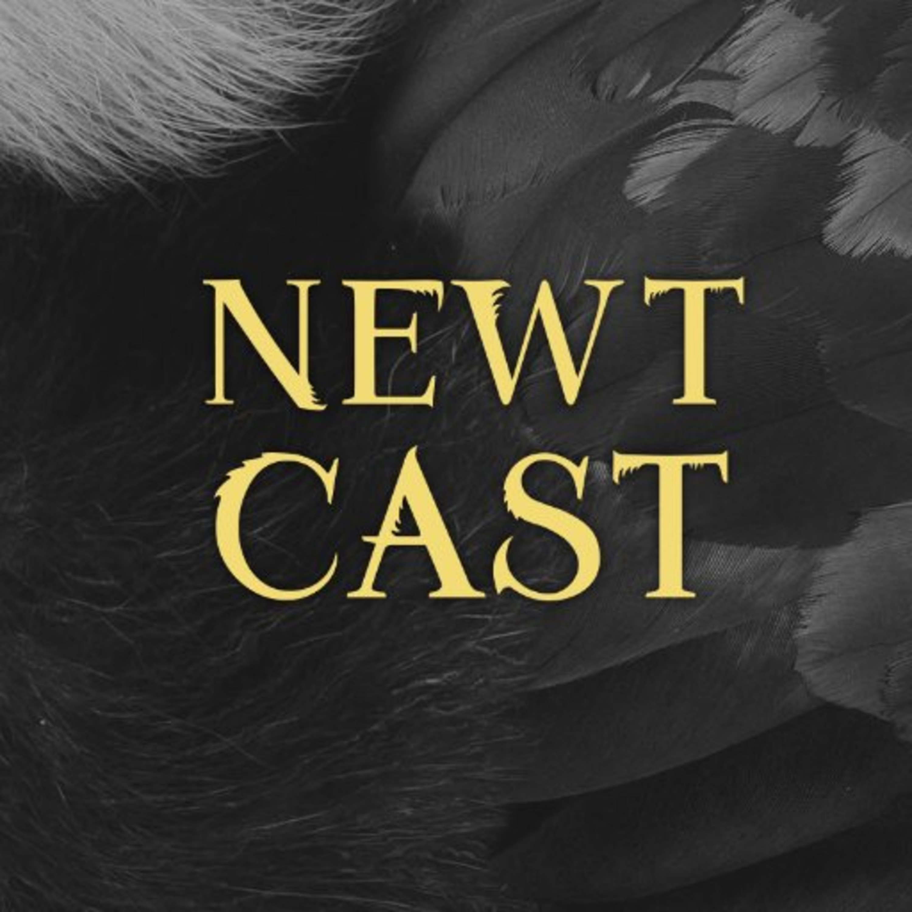NewtCast: A Harry Potter Podcast