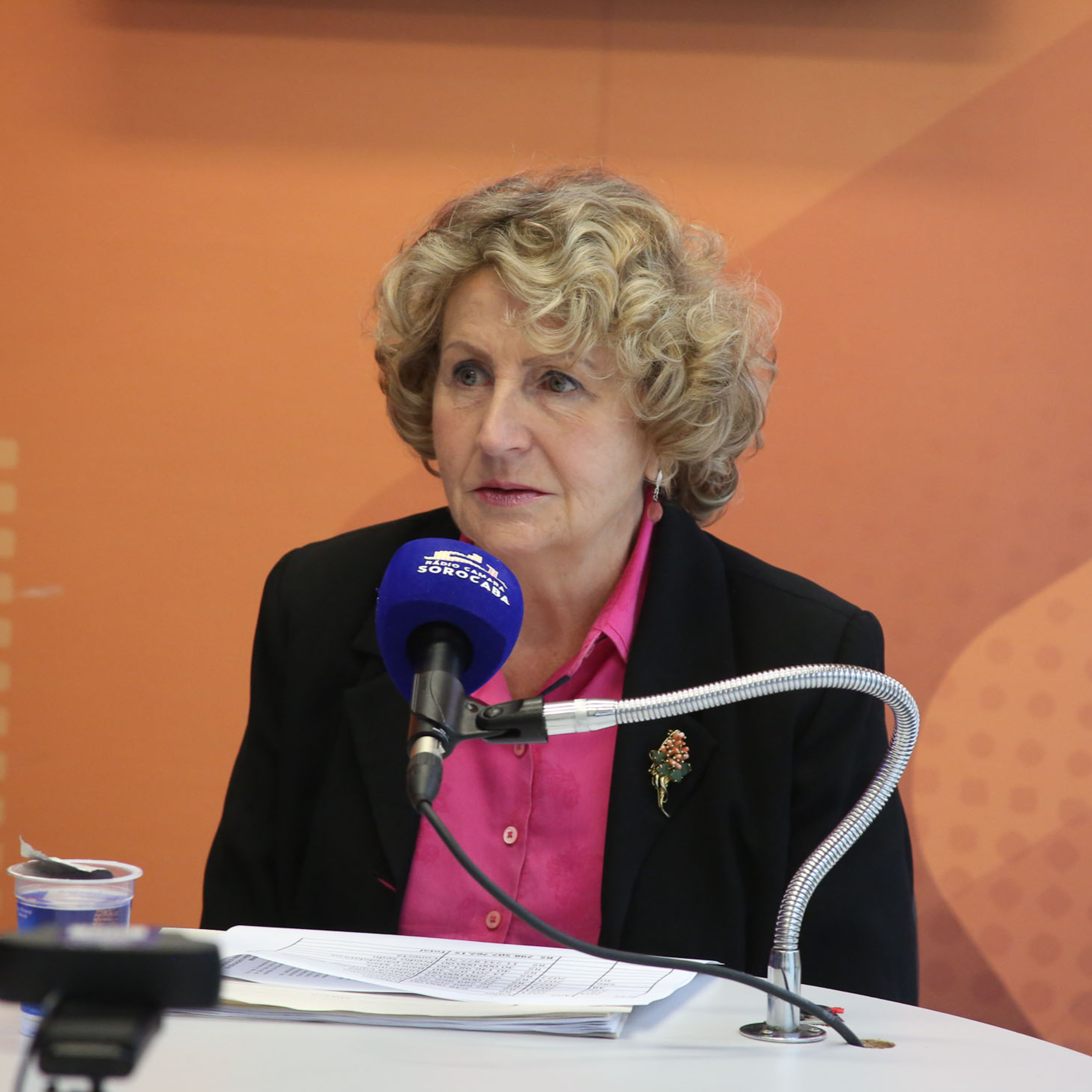 Rádio Câmara Sorocaba Podcasts