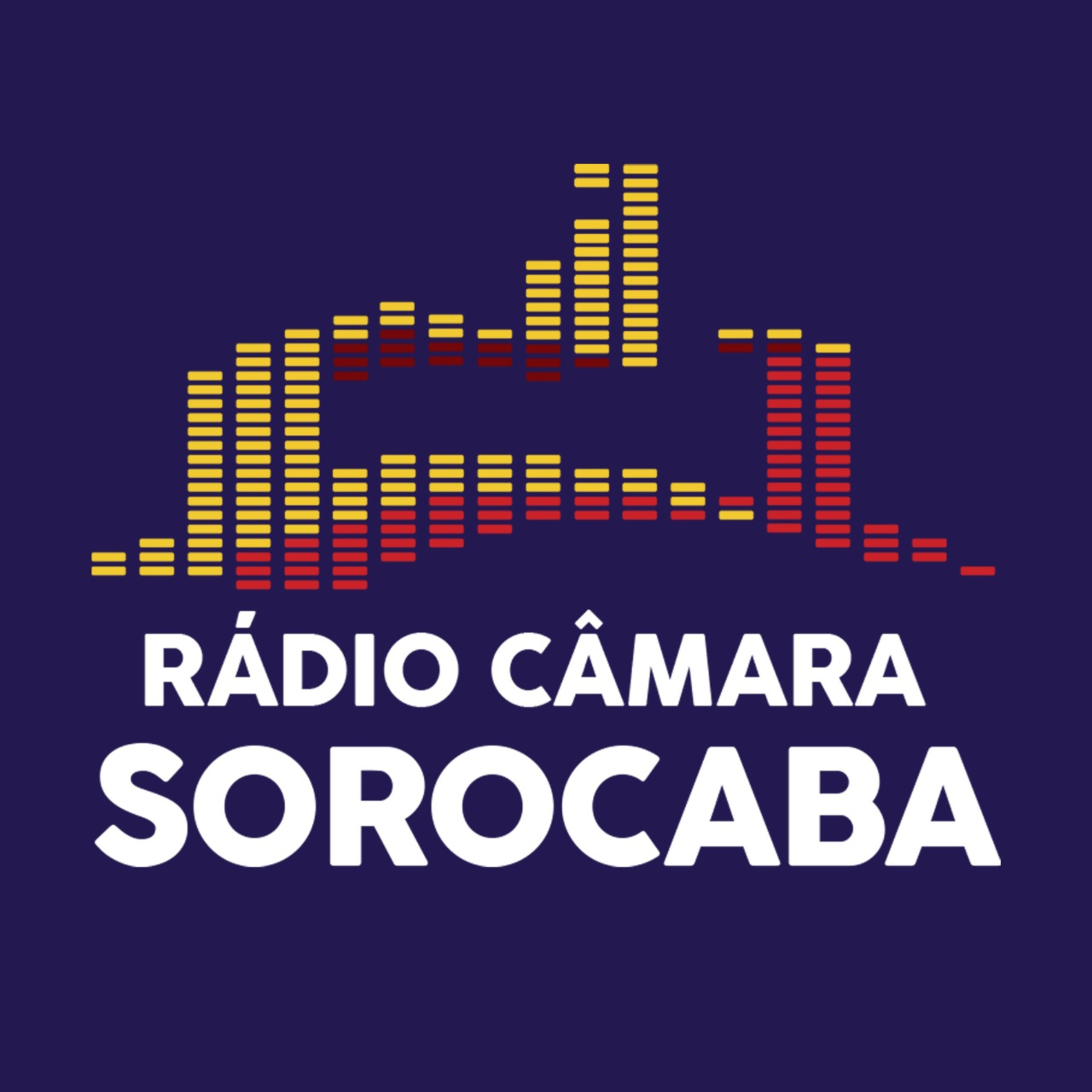 Jornal da Câmara - Ver. Luís Santos - Ver. Salatiel Hergesel - 15/06/23 episode artwork