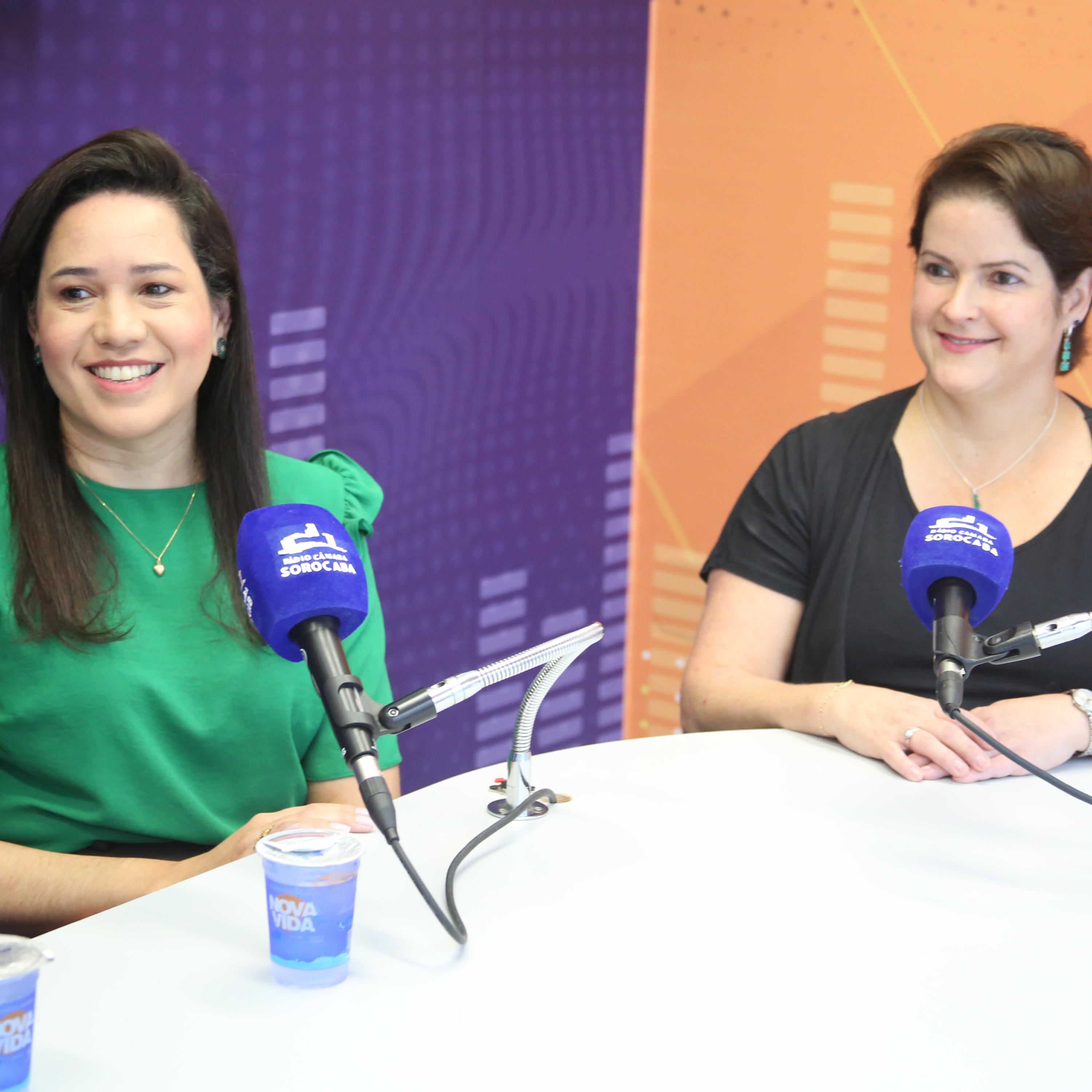 Rádio Câmara Sorocaba Podcasts