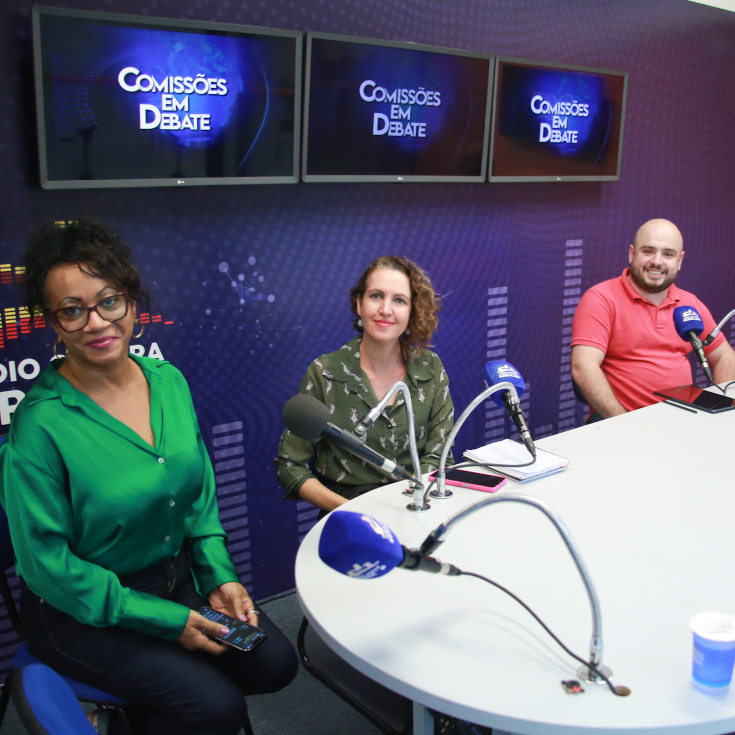 Comissões em Debate: Comissão dos Direitos da Criança, Adolescente e Juventude (11/04/24) episode artwork