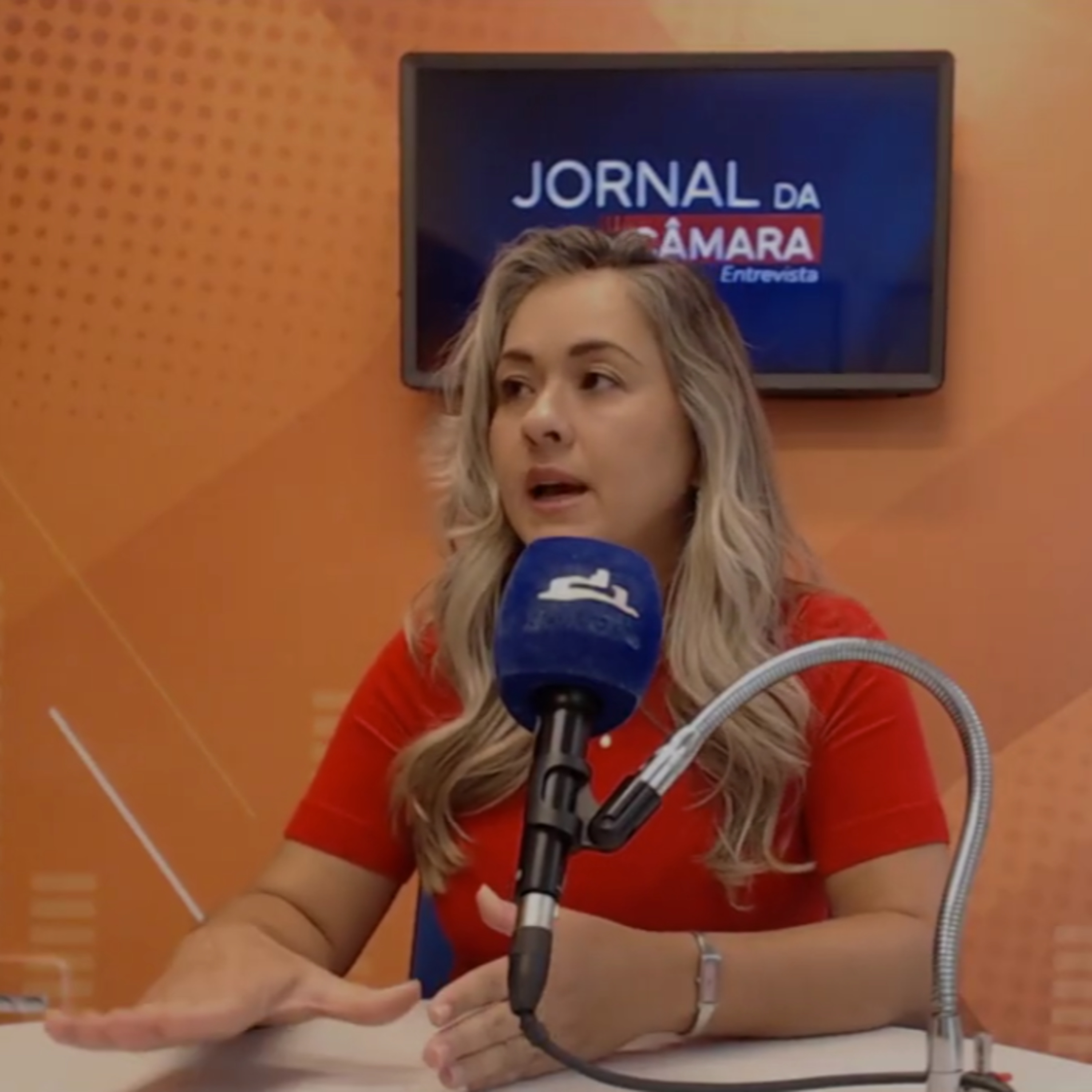 Rádio Câmara Sorocaba Podcasts
