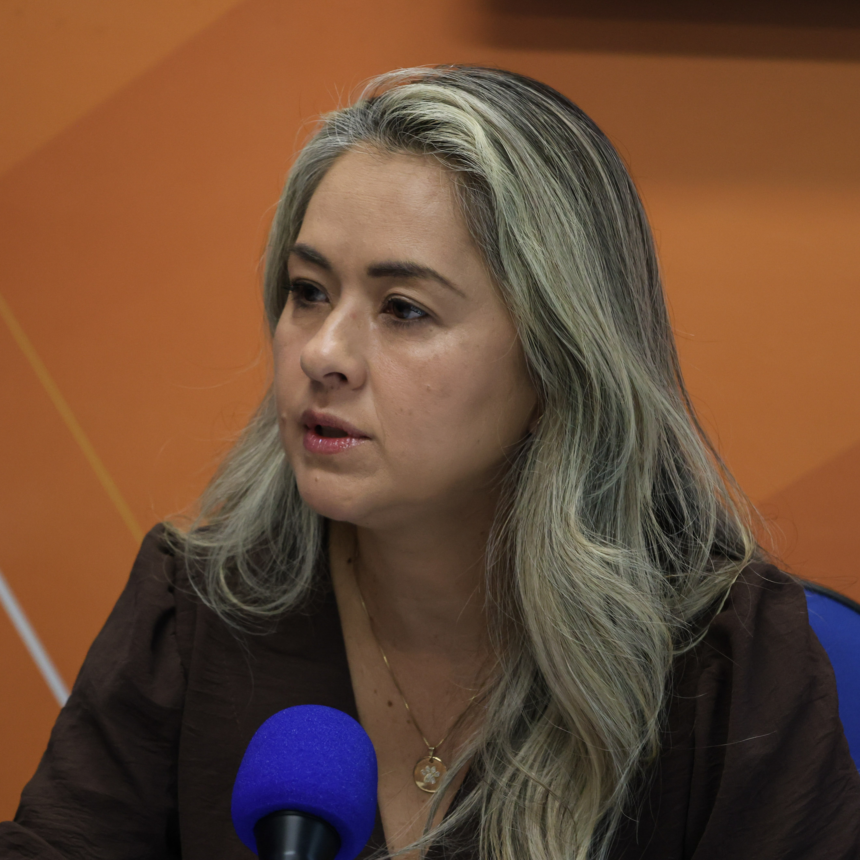 Jornal da Câmara - Ver. Jussara Fernandes - 07/05/26 episode artwork