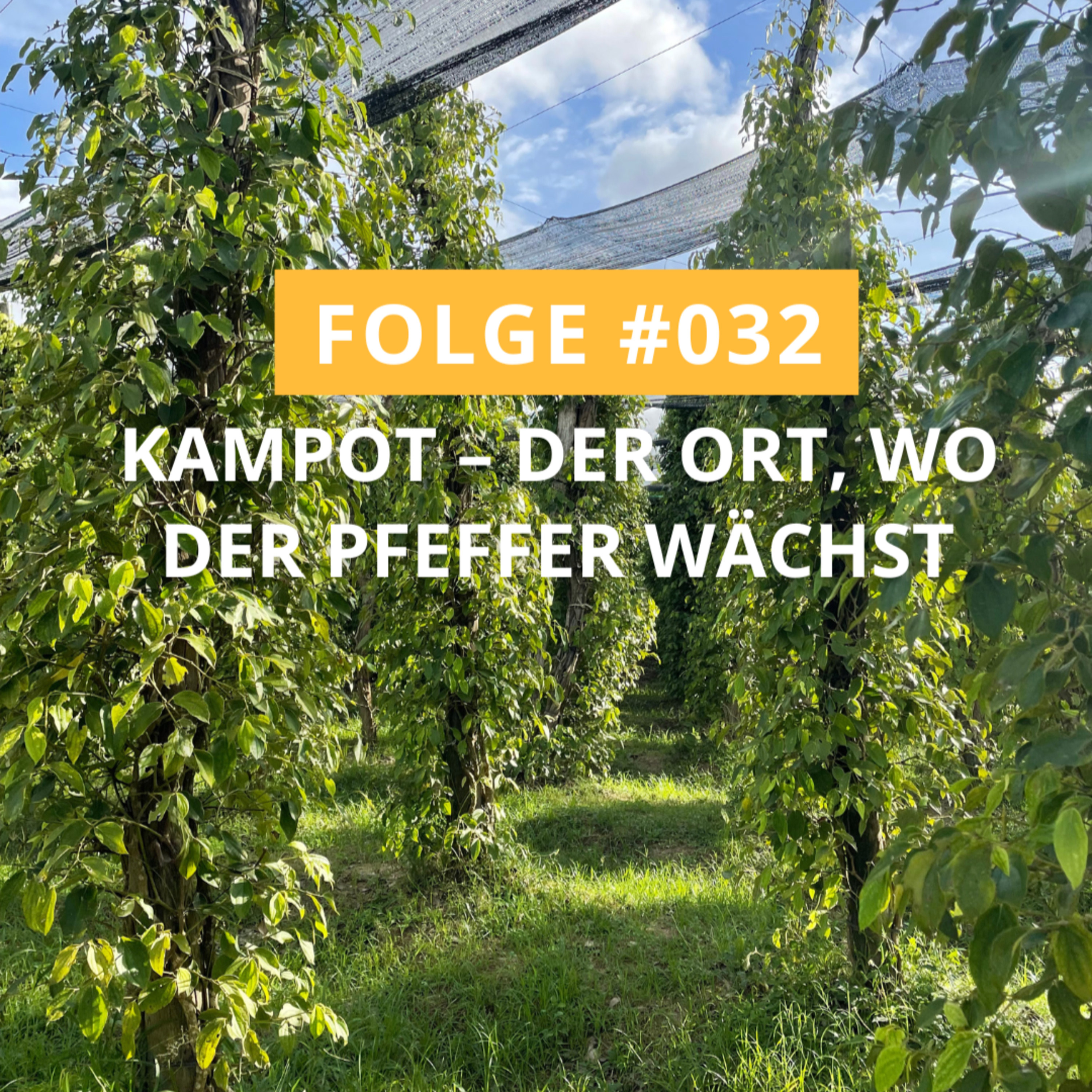 Auf Reisen - dein Weltreise Podcast mit Ann und Marv
