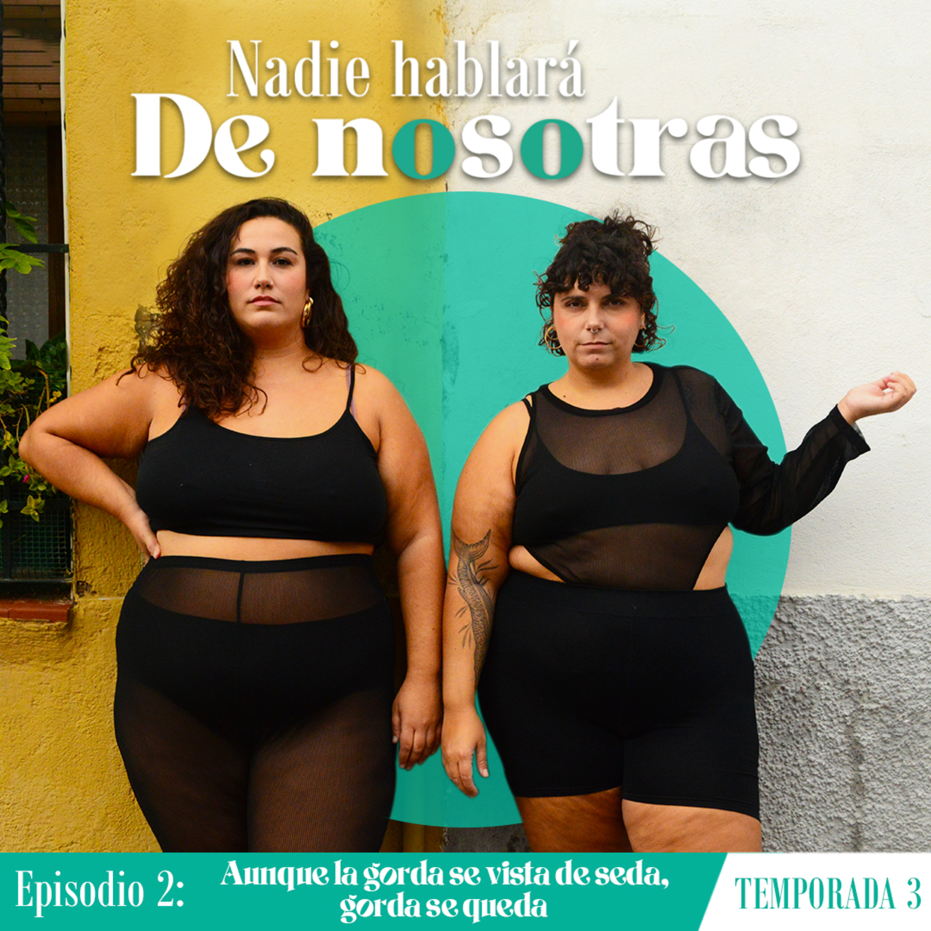Aunque la gorda se vista de seda, gorda se queda episode artwork