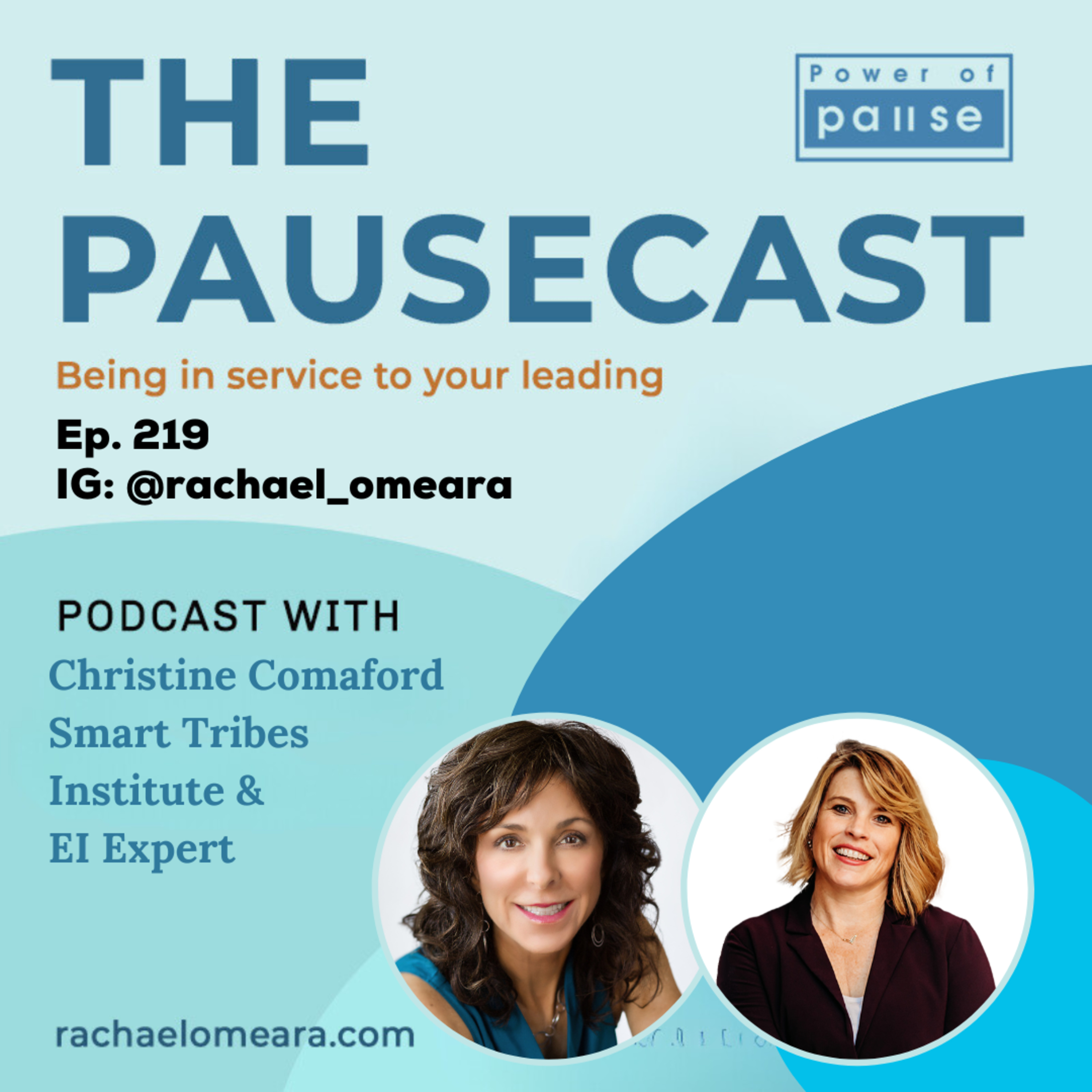 Ep. 114 - Christine Comaford - Smart Tribes & EI