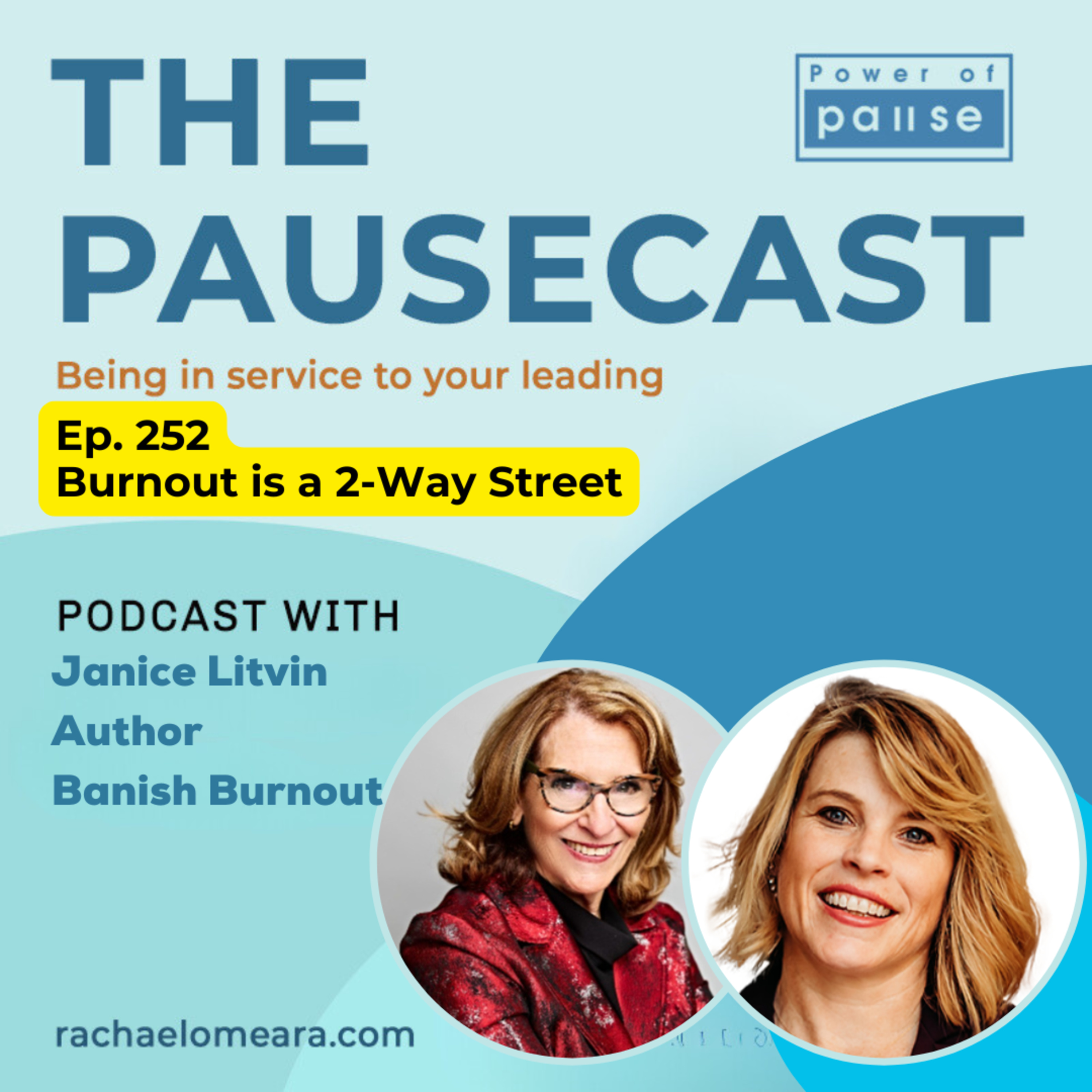 Ep. 252 🎙️ Burnout Is a Two-Way Street with Janice Litvin episode artwork