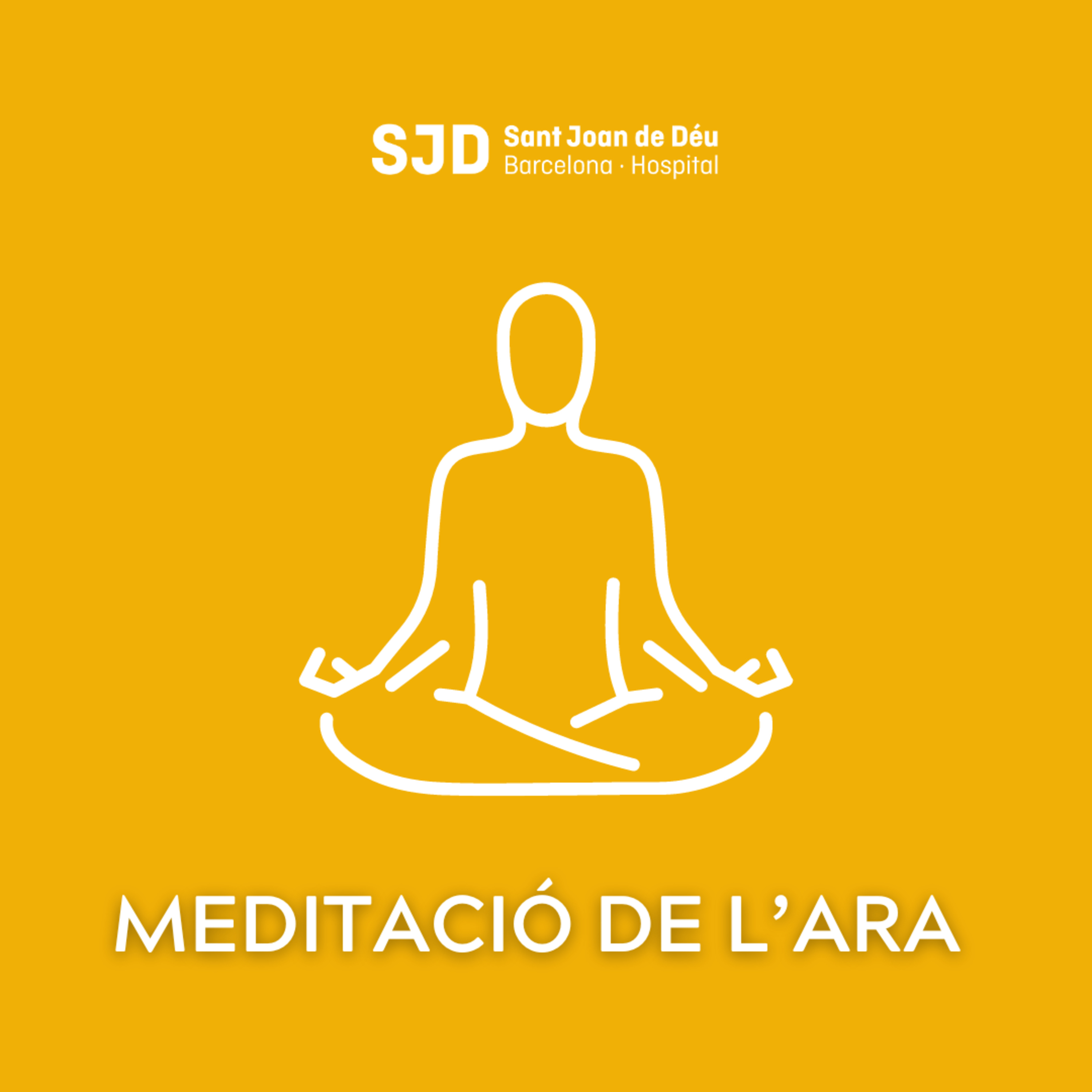Meditació de l'ara - Meditació