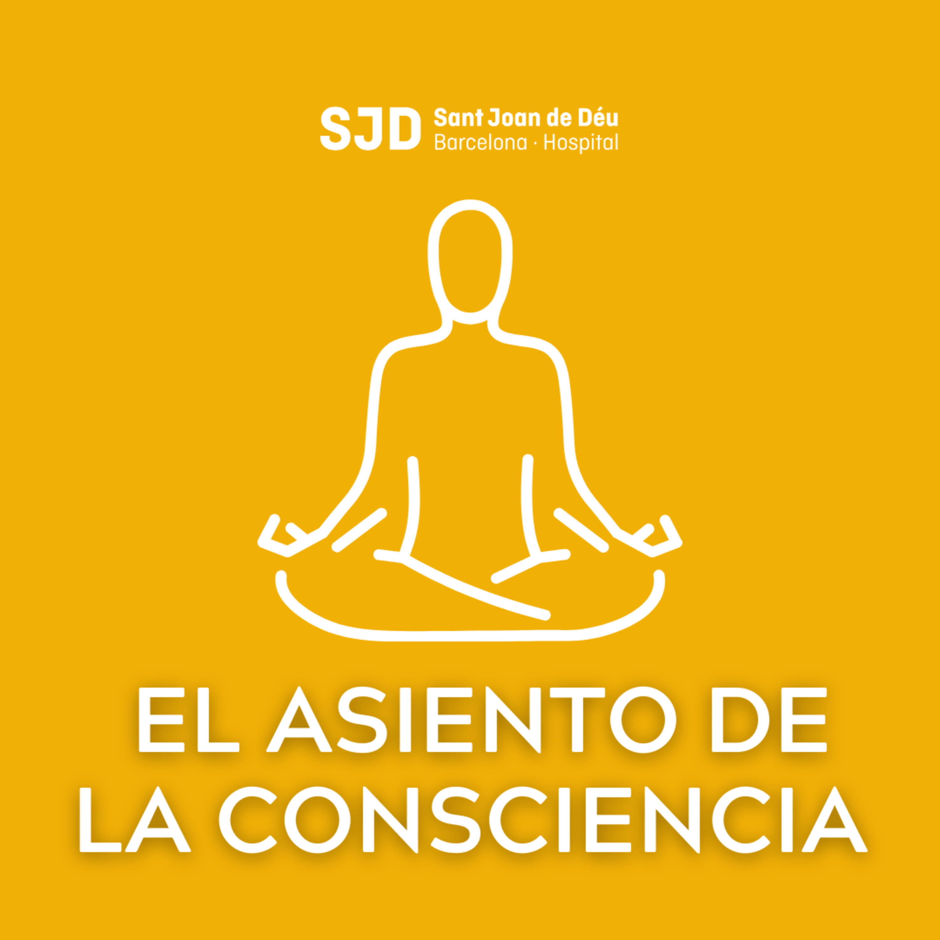 El asiento de las consciencia - Meditaciones