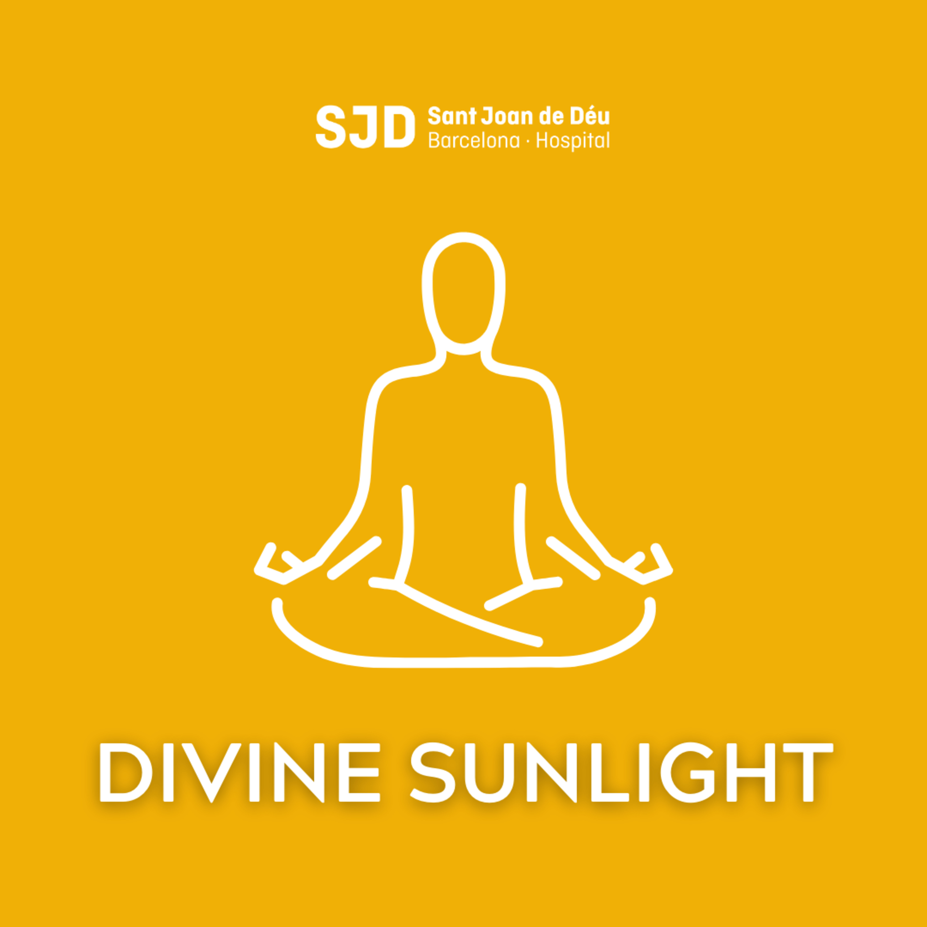 Divine Sunlight - Meditaciones