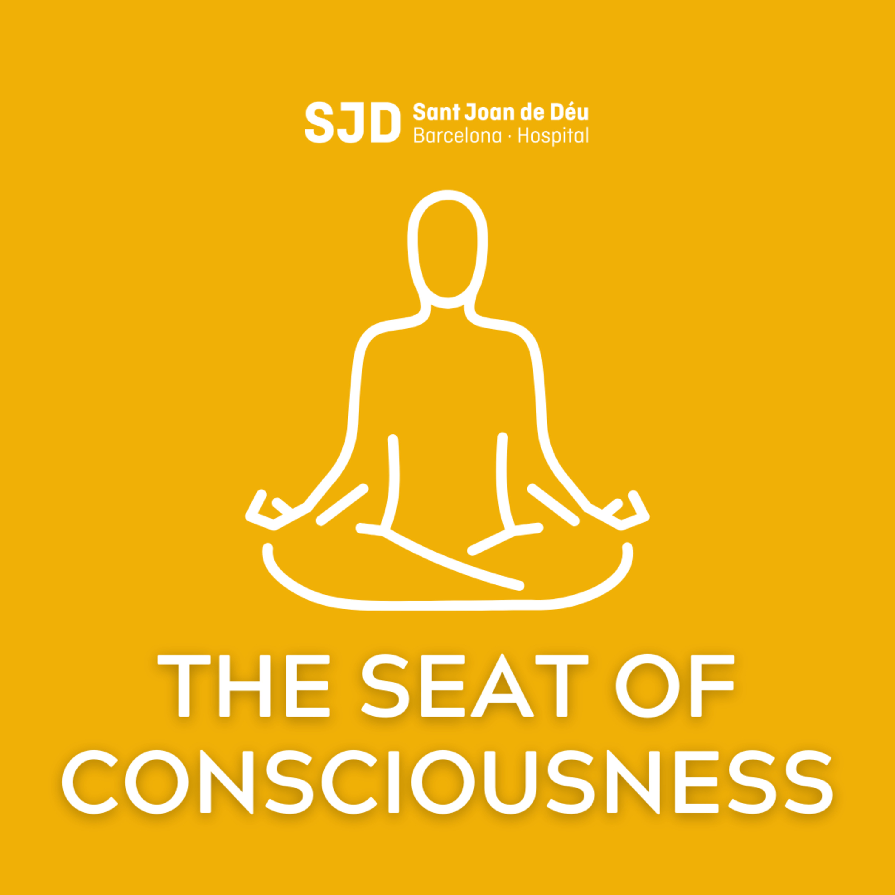 The Seat of Consciousness - Meditaciones