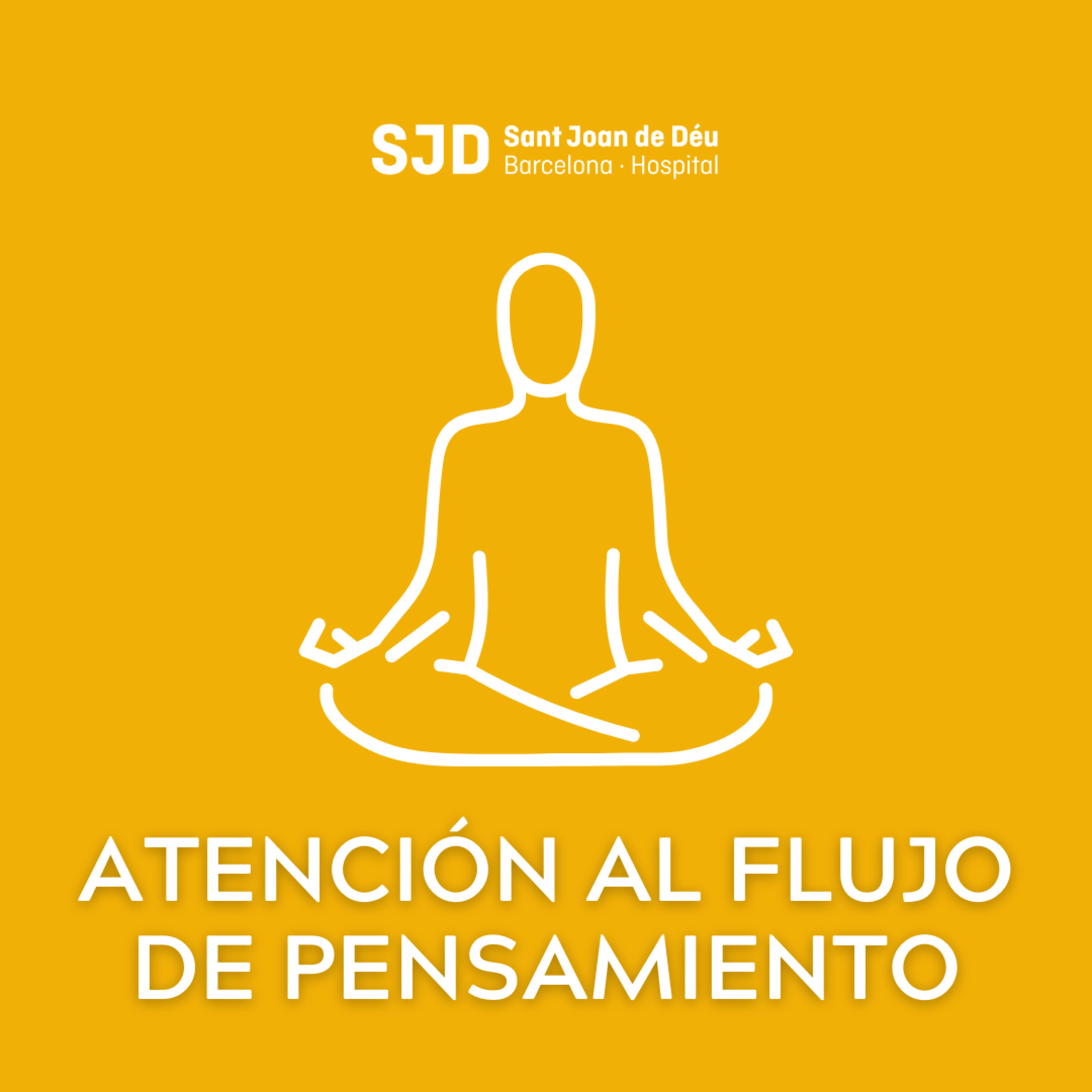 Atencion al flujo de pensamiento - Meditaciones