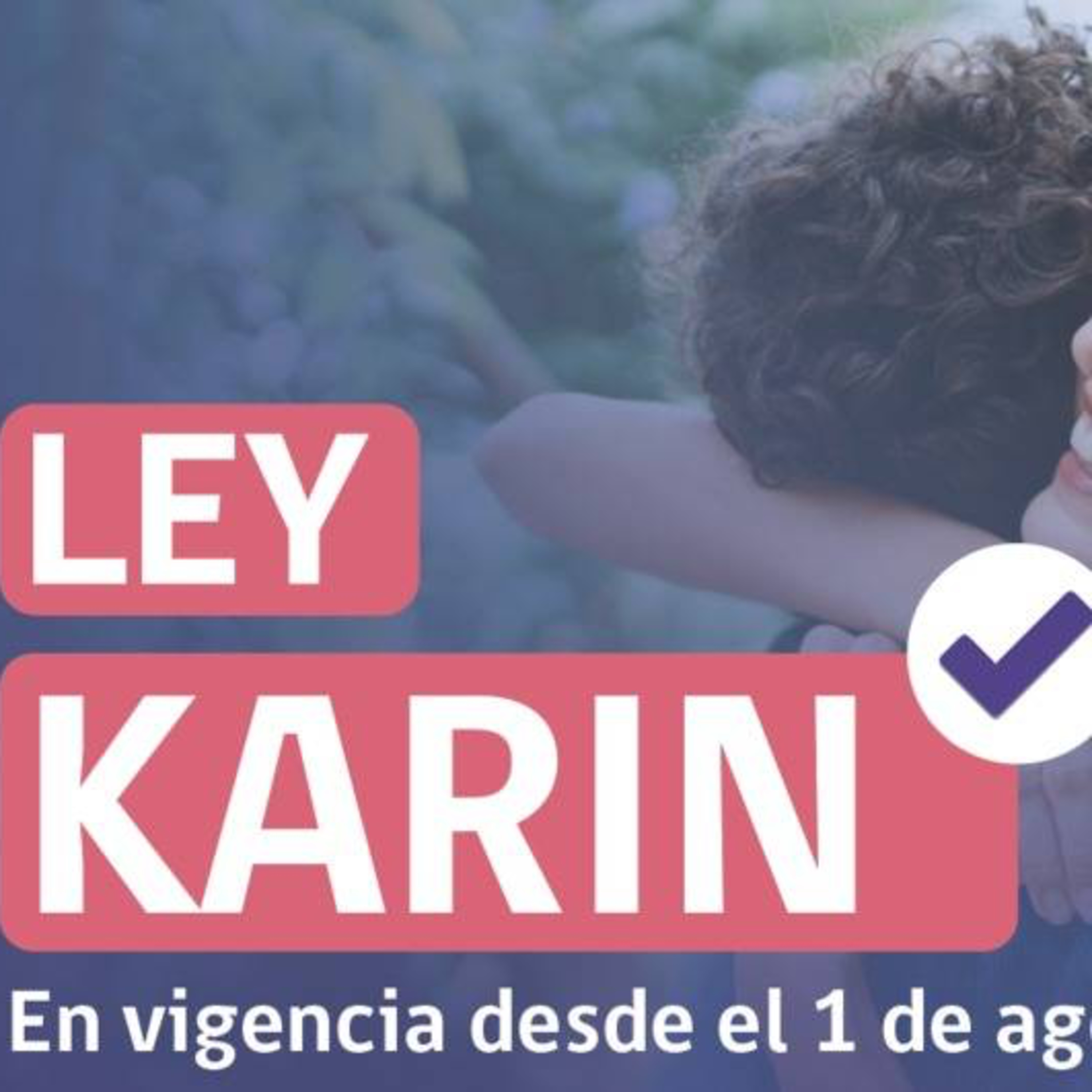 Ley Karin entra en vigencia episode artwork
