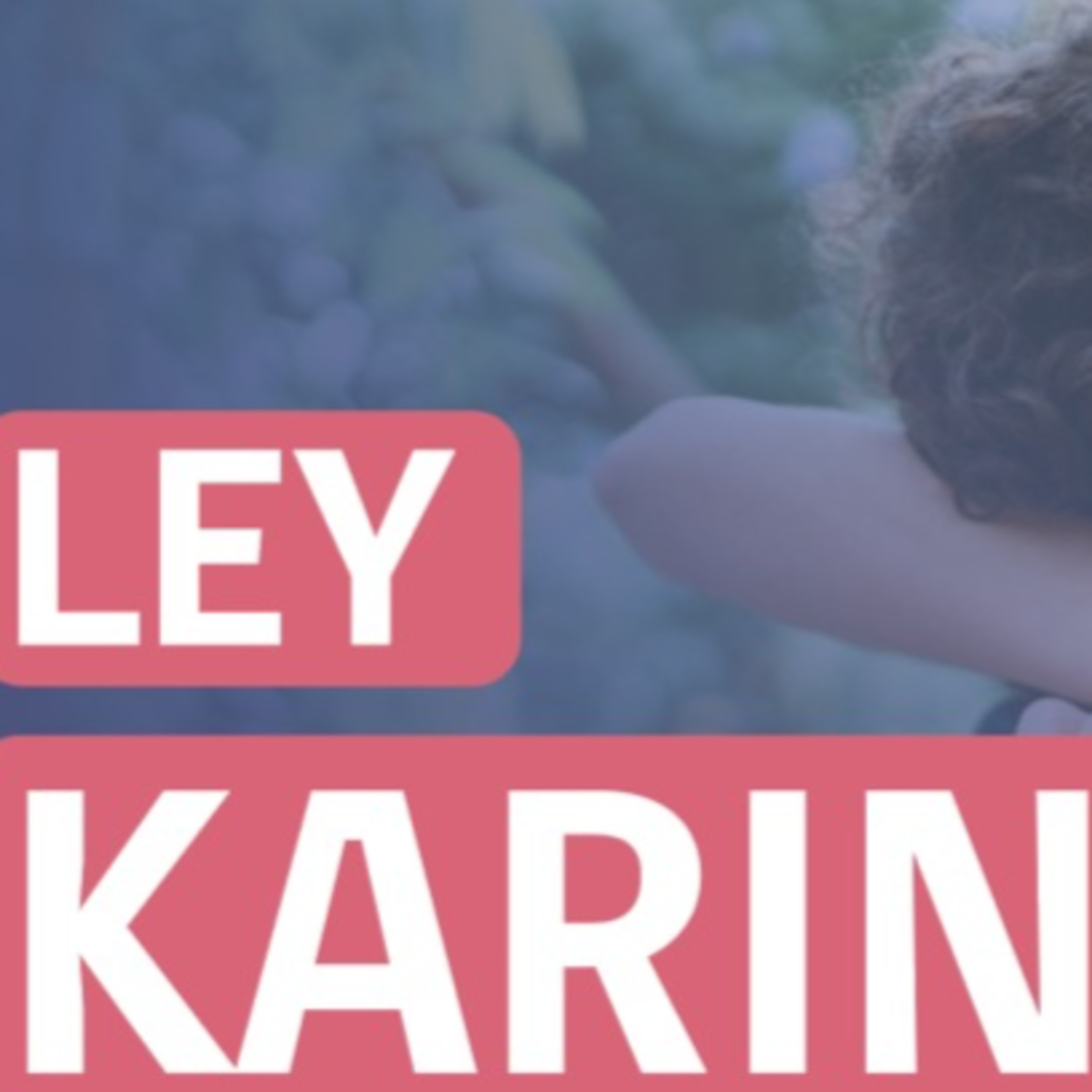 🚨 Gobierno ajusta la Ley Karin mientras crecen las tensiones laborales episode artwork
