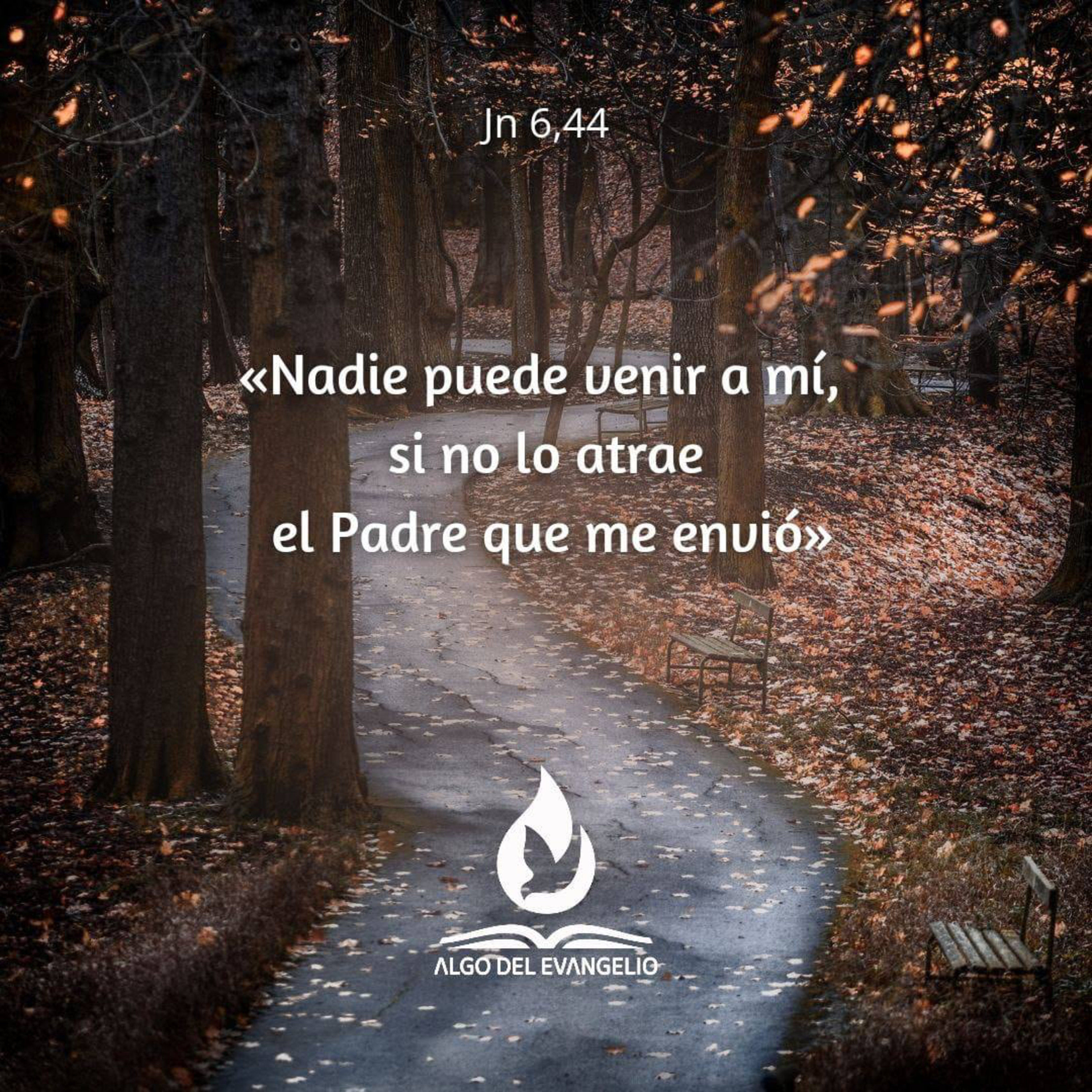Algo del Evangelio