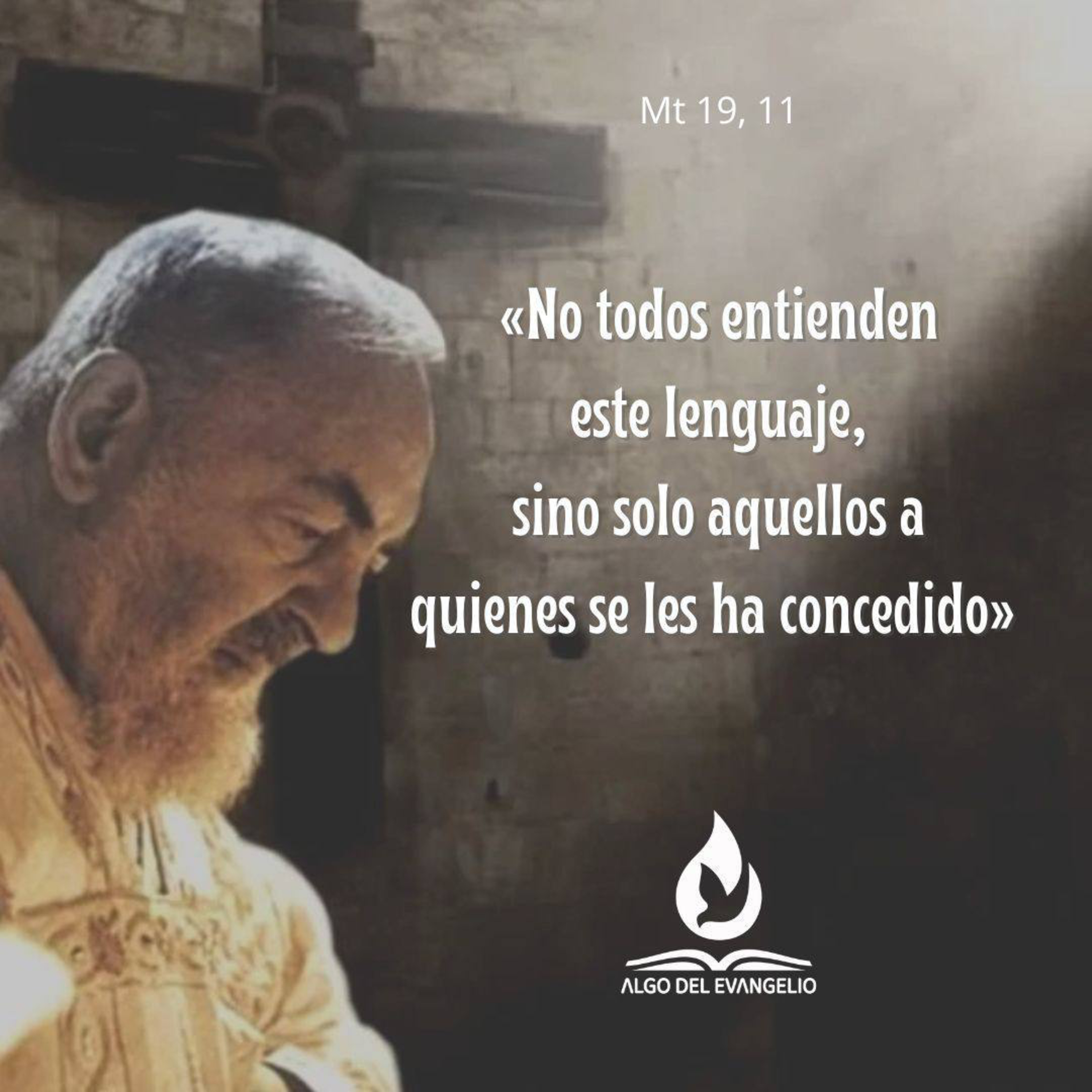 Algo del Evangelio