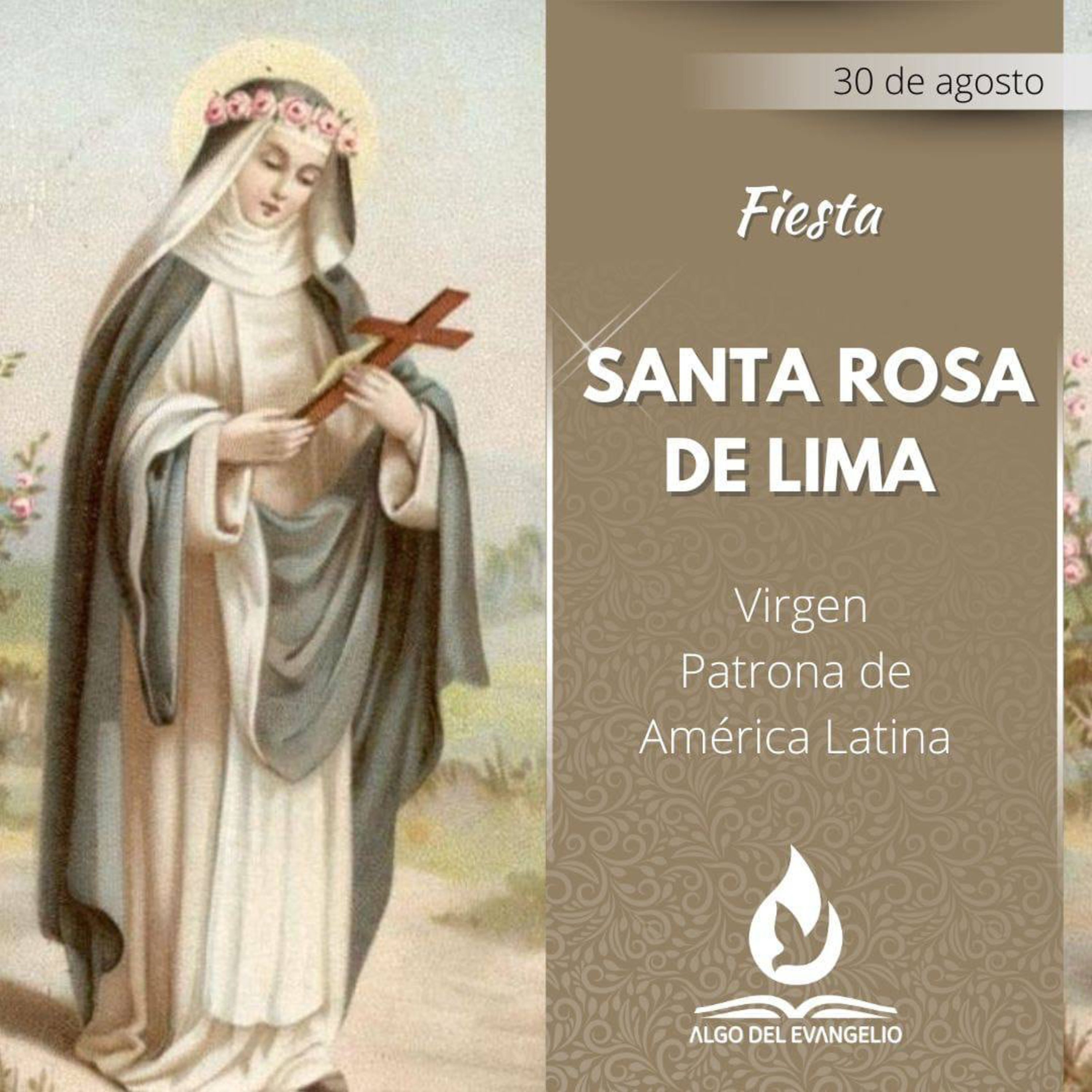 Mateo 13, 44-46 - Fiesta de Santa Rosa de Lima episode artwork