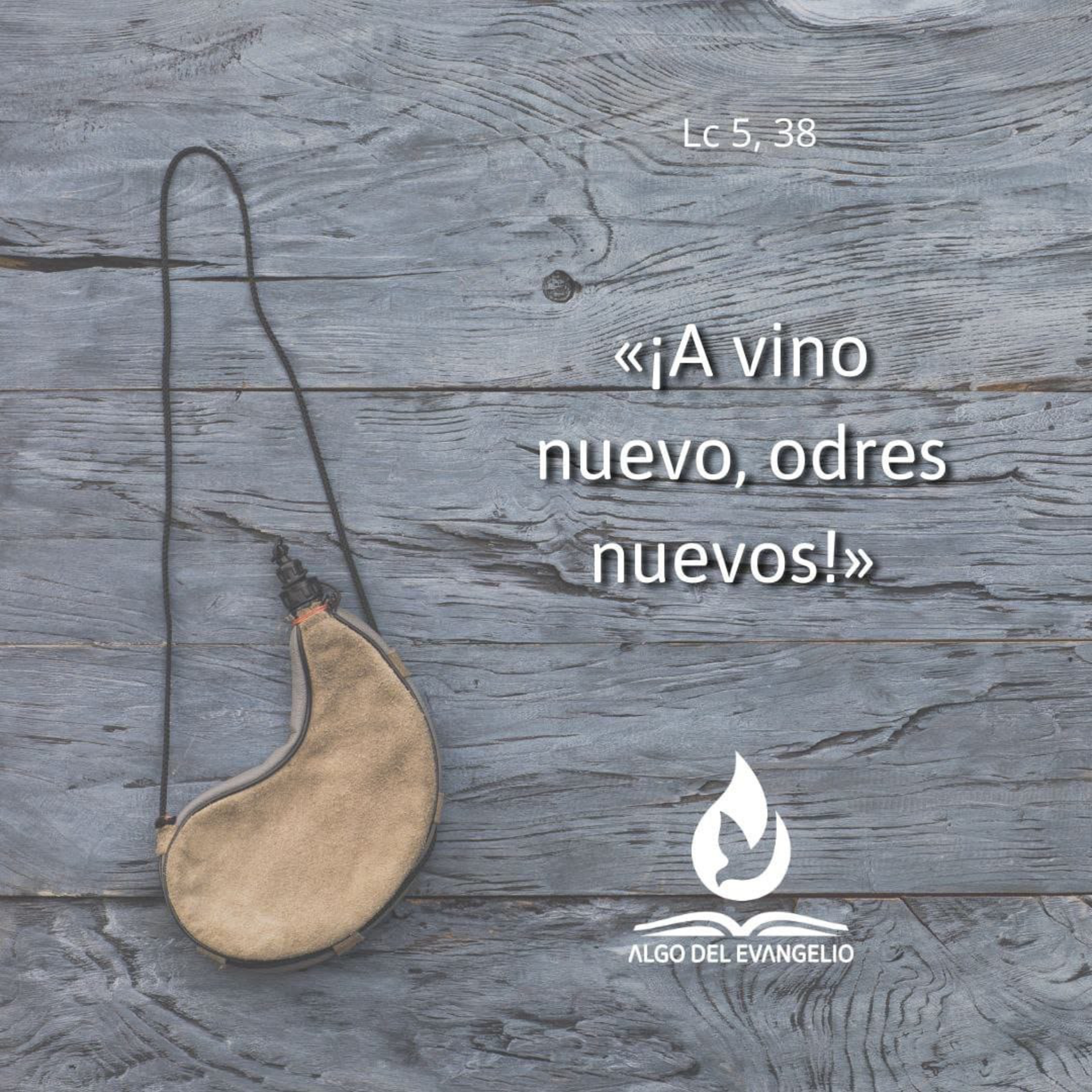 Lucas 5, 33-39 - XXII Viernes del Tiempo Ordinario episode artwork